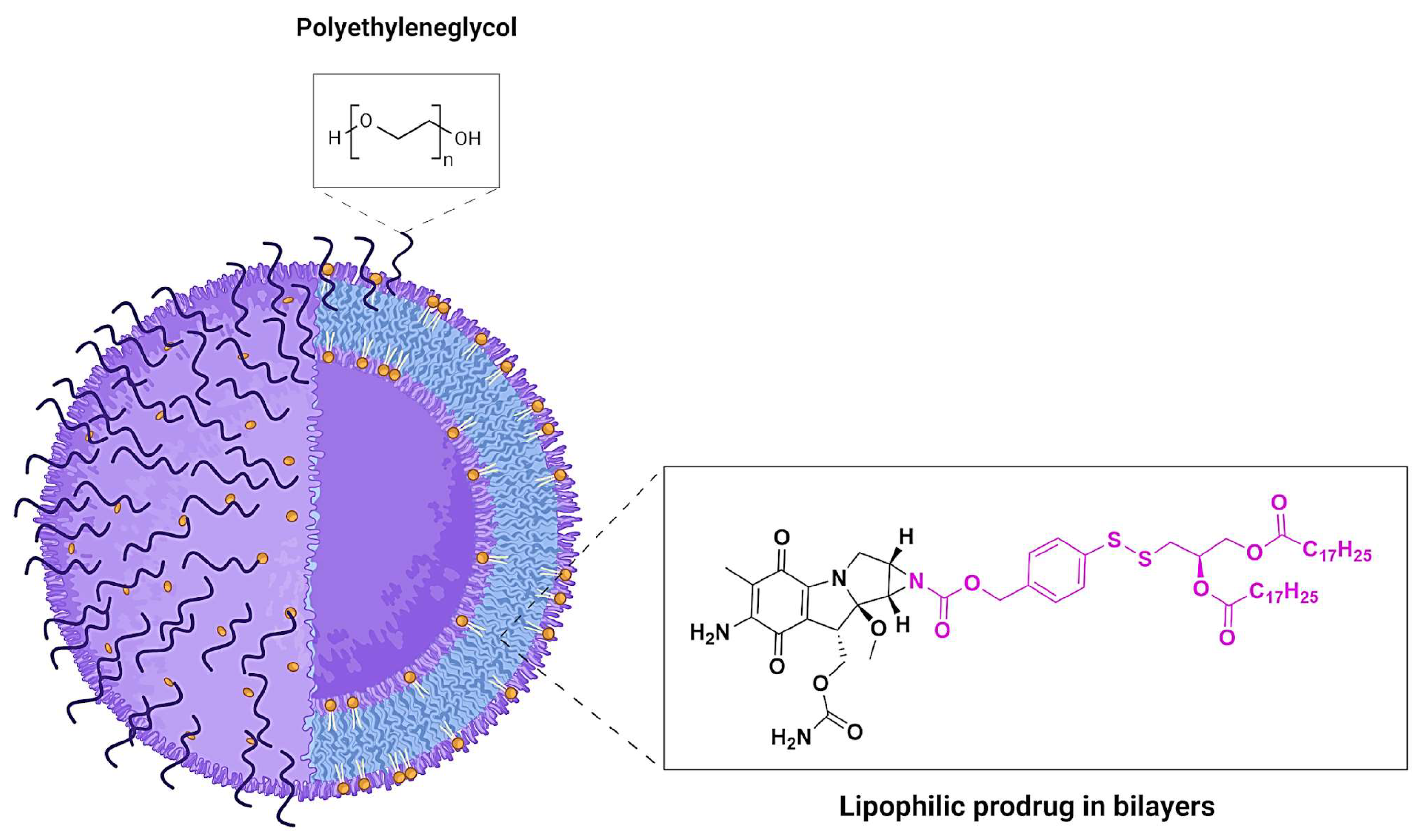 Preprints 146736 g012