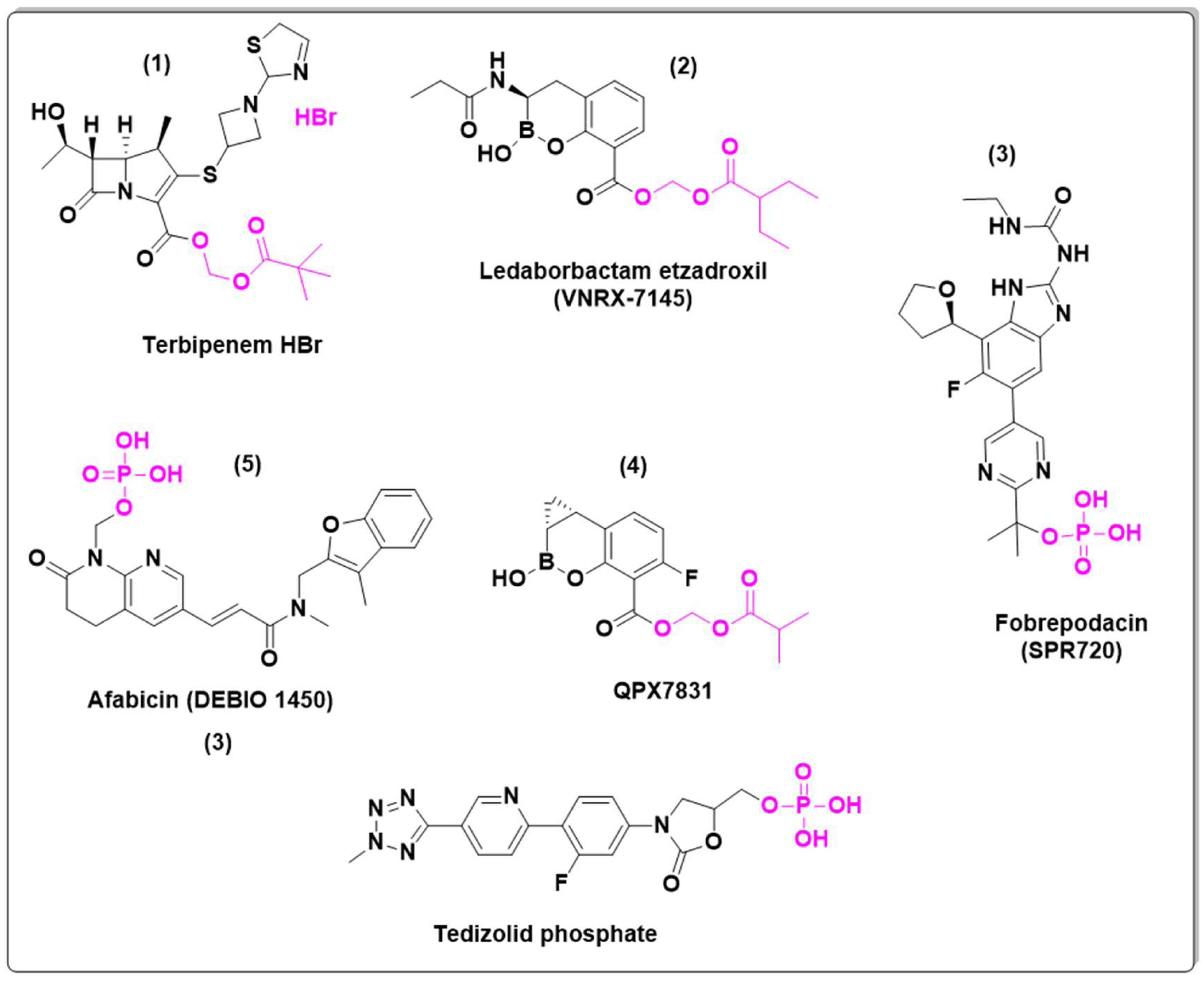 Preprints 146736 g013