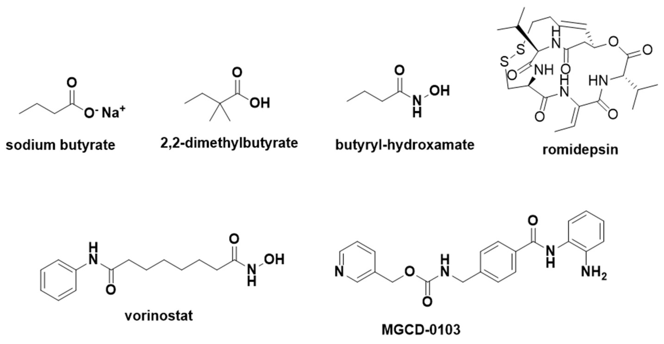Preprints 146736 g018