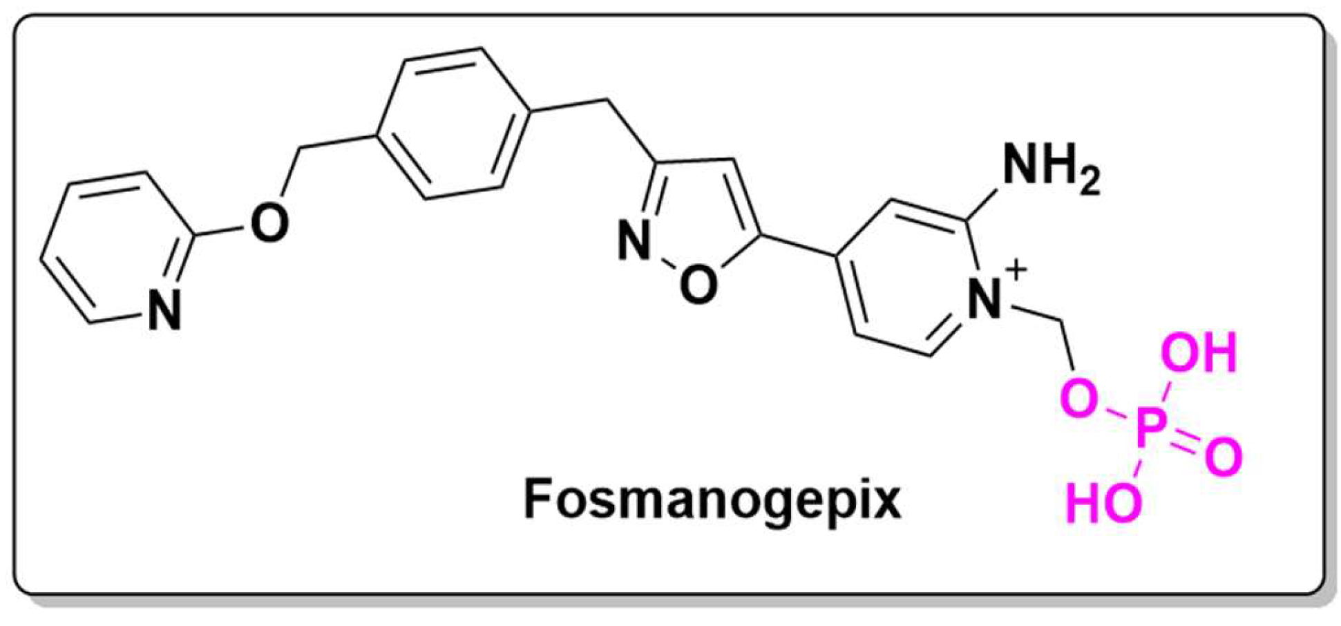 Preprints 146736 g020