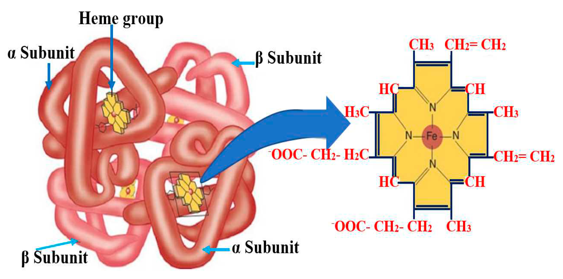 Preprints 82360 g001