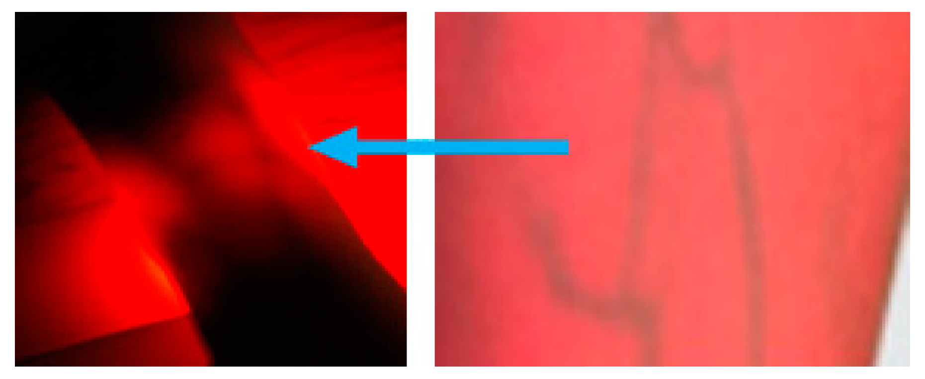 Preprints 82360 g008