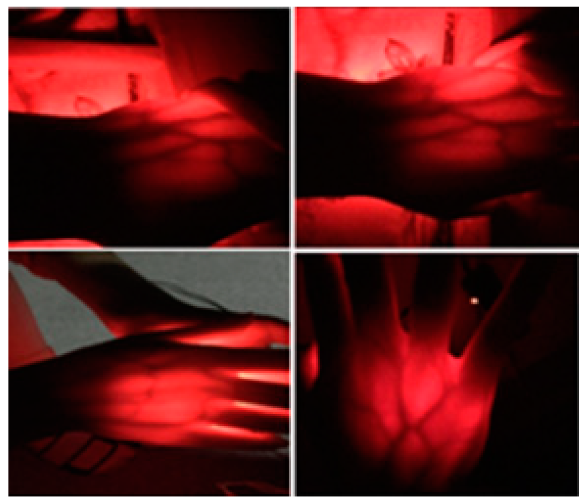 Preprints 82360 g009