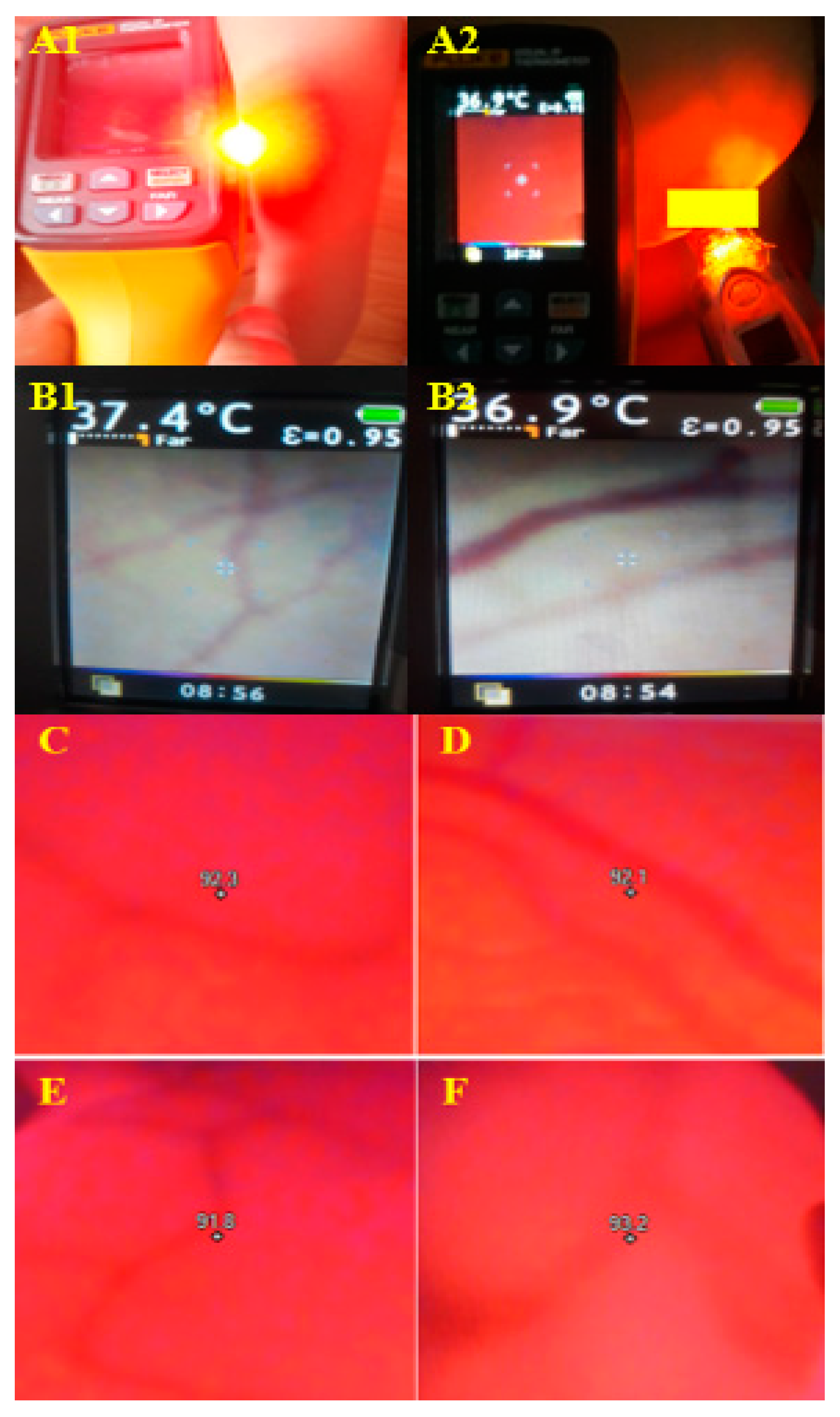 Preprints 82360 g011