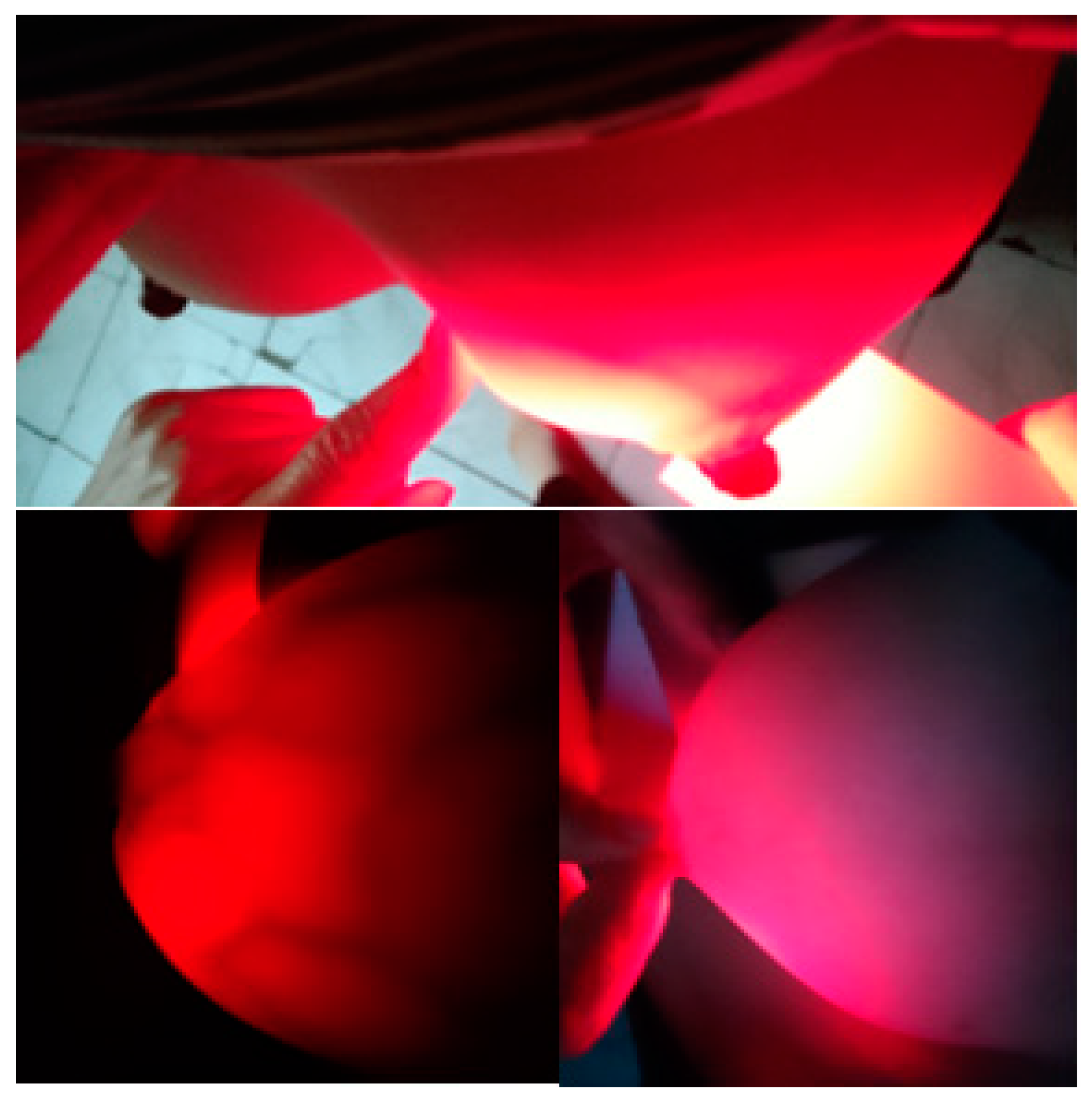 Preprints 82360 g012