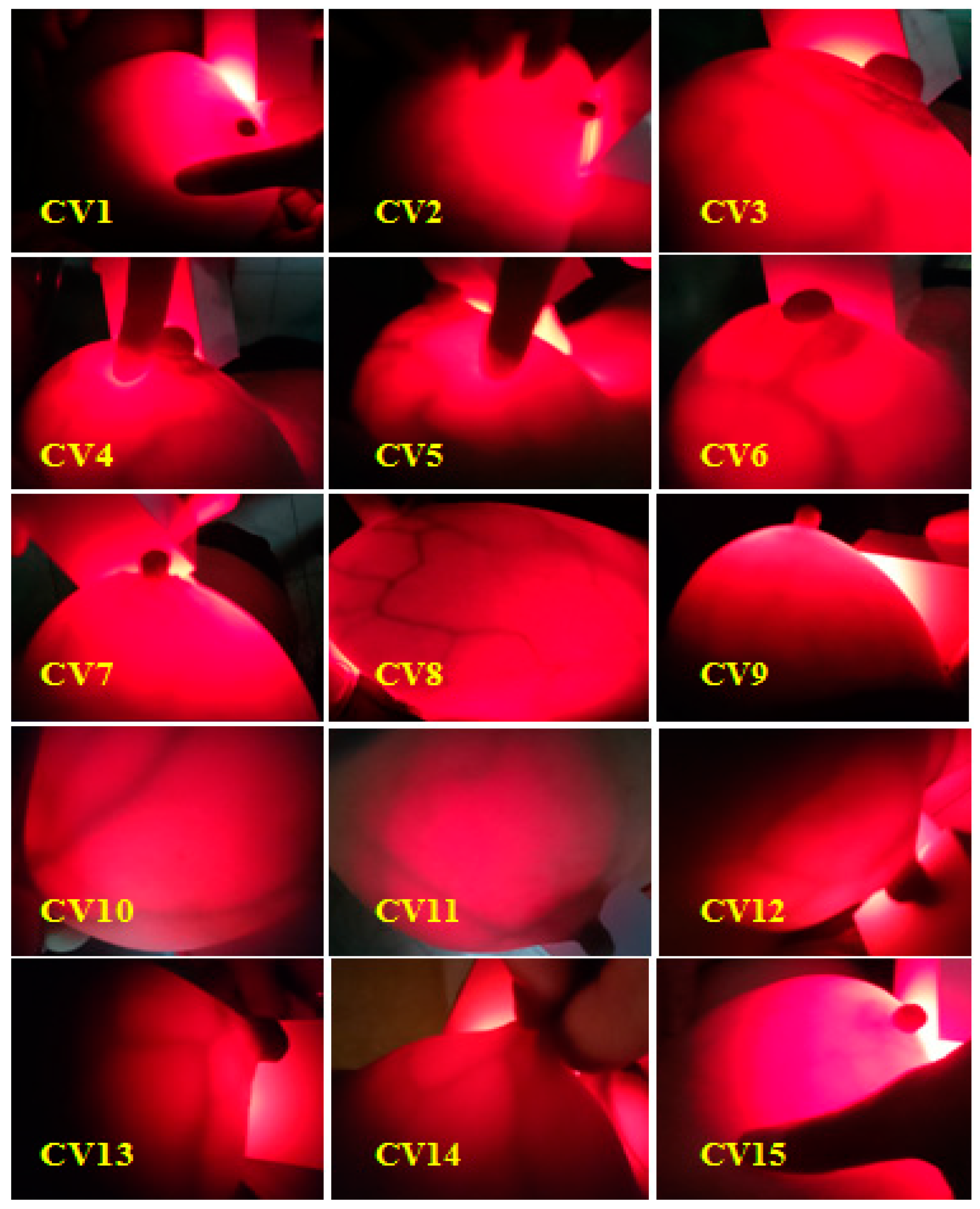 Preprints 82360 g013