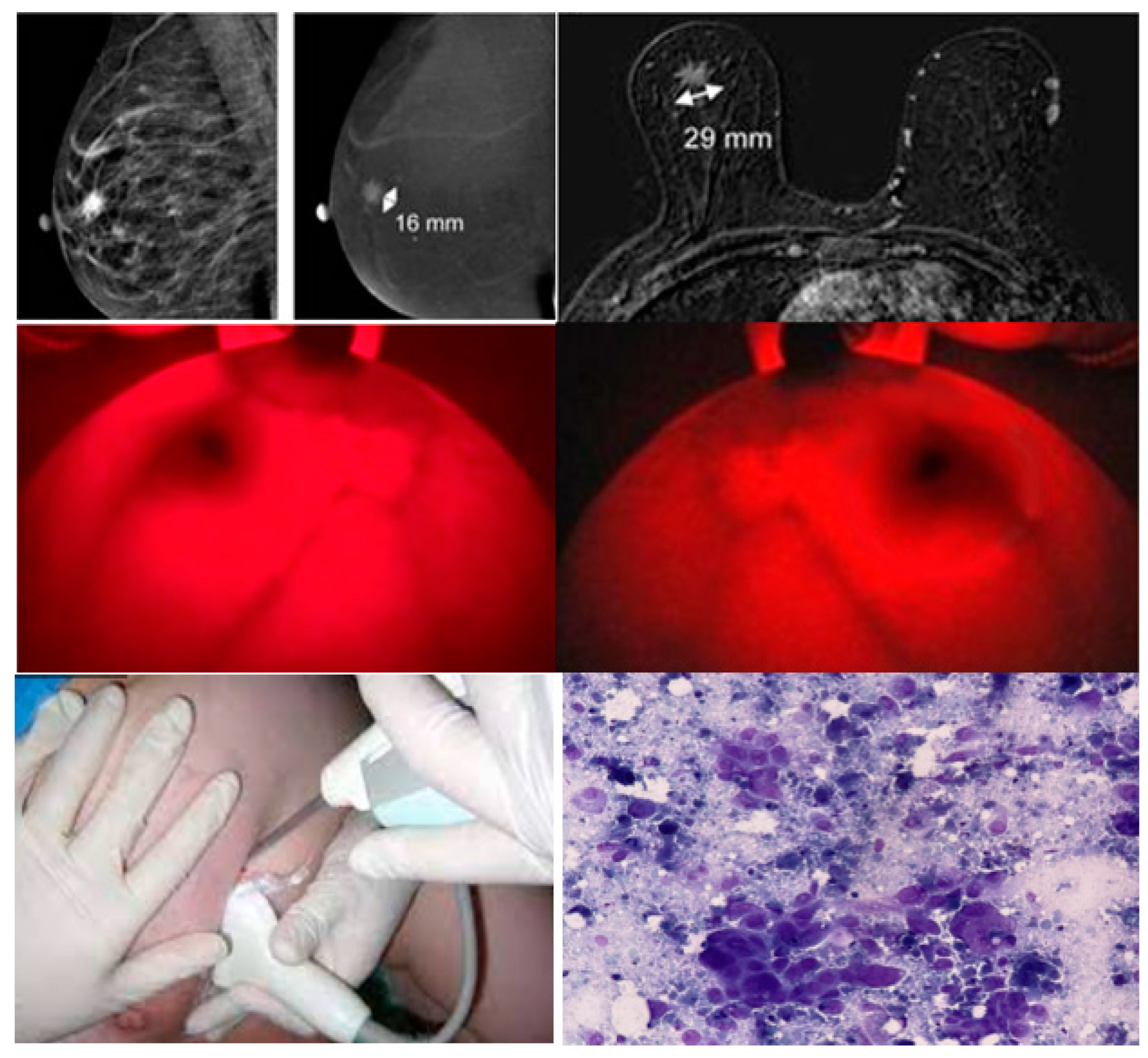 Preprints 82360 g015