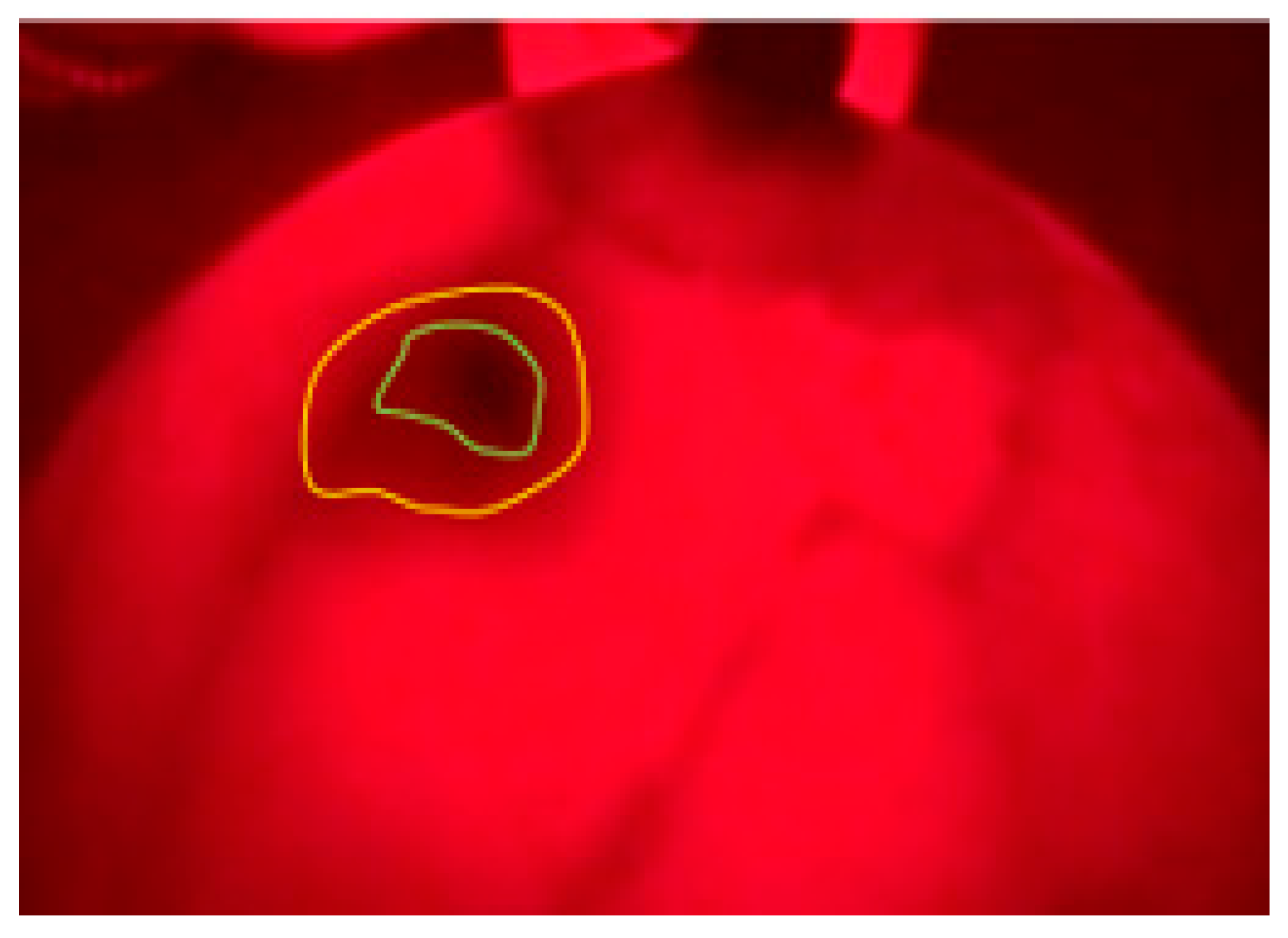 Preprints 82360 g016