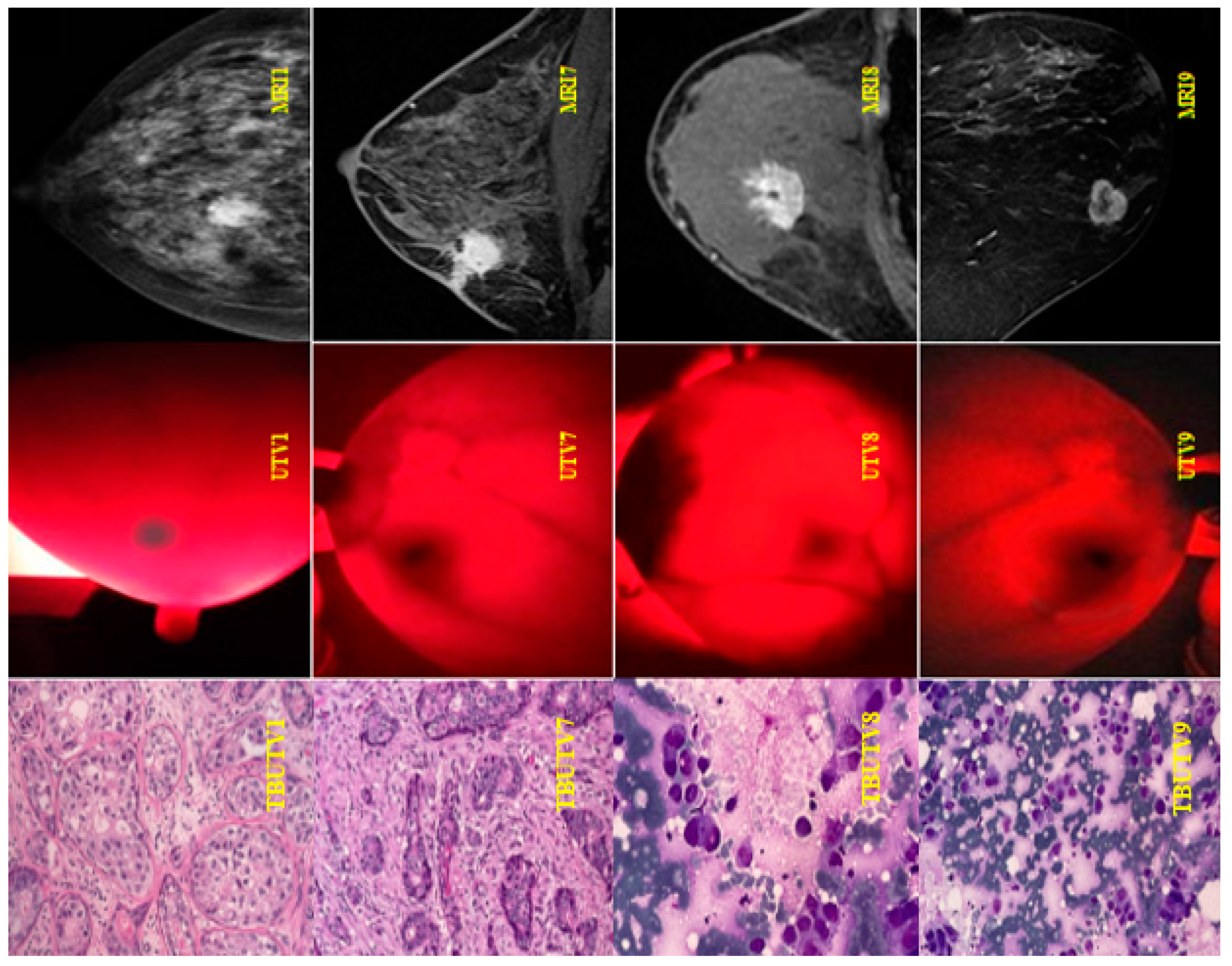 Preprints 82360 g017