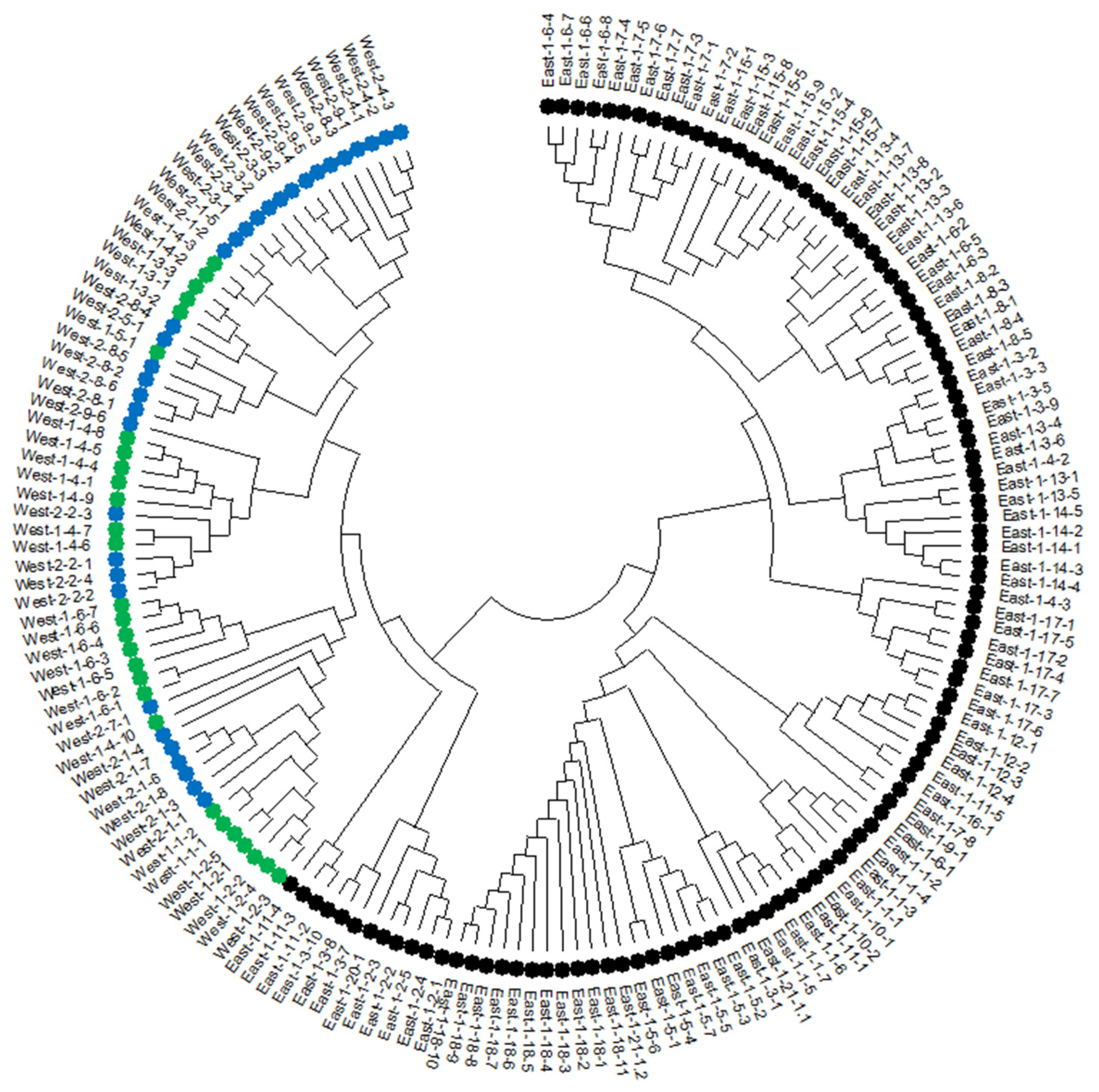 Preprints 144116 g002