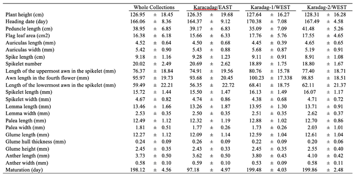 Preprints 144116 i001