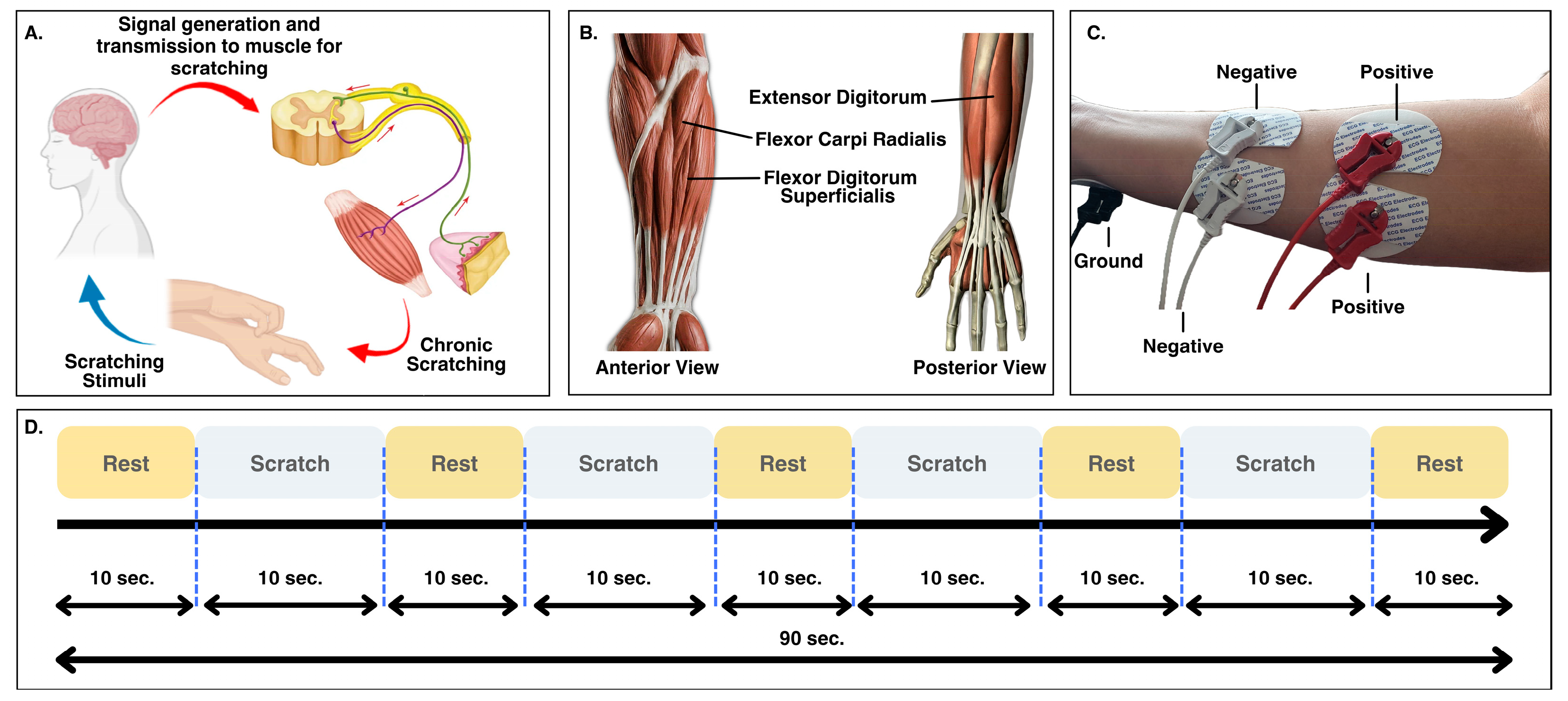 Machine Learning-Based Self-Induced Scratch Intensity Detection for ...