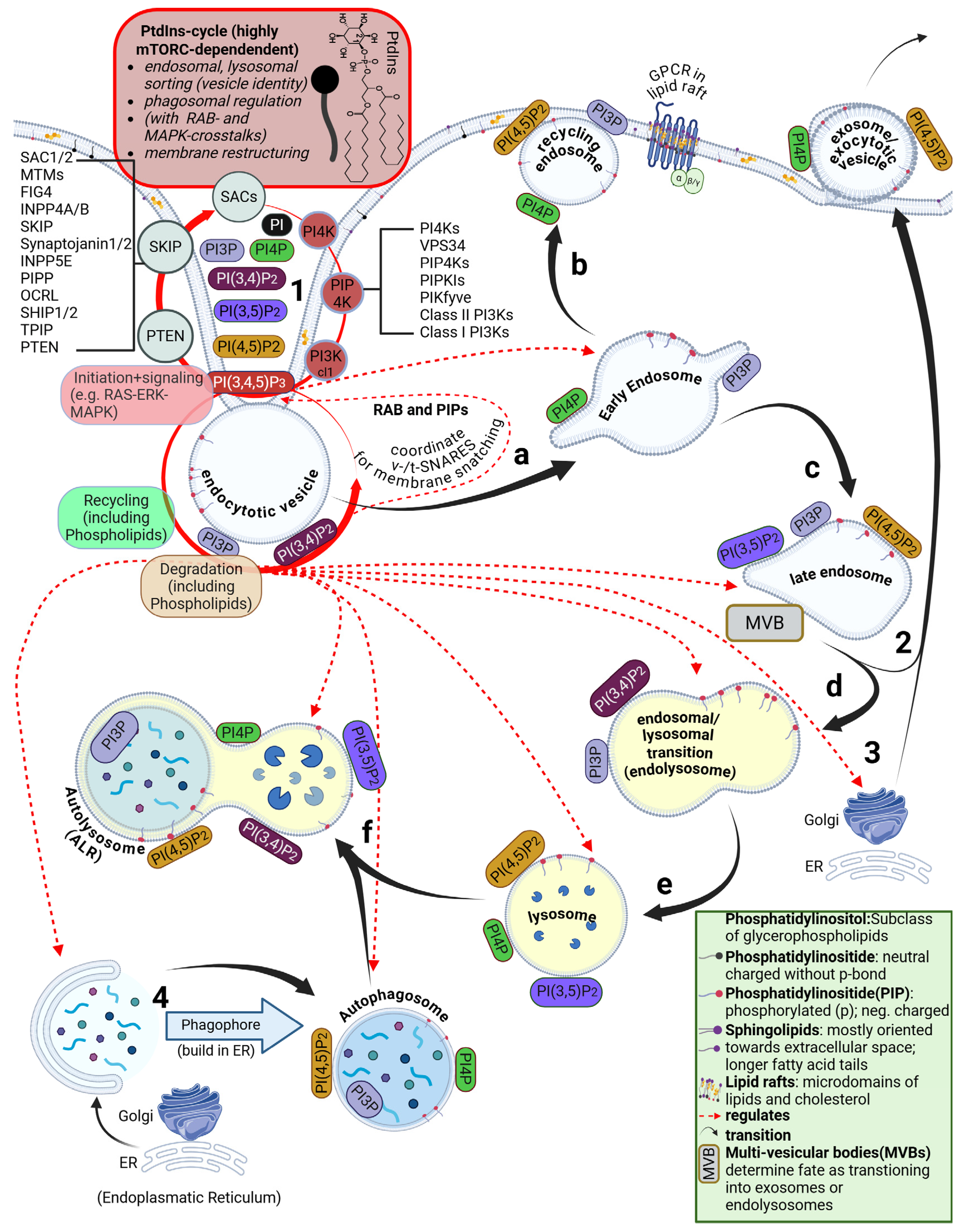 Preprints 184611 g002