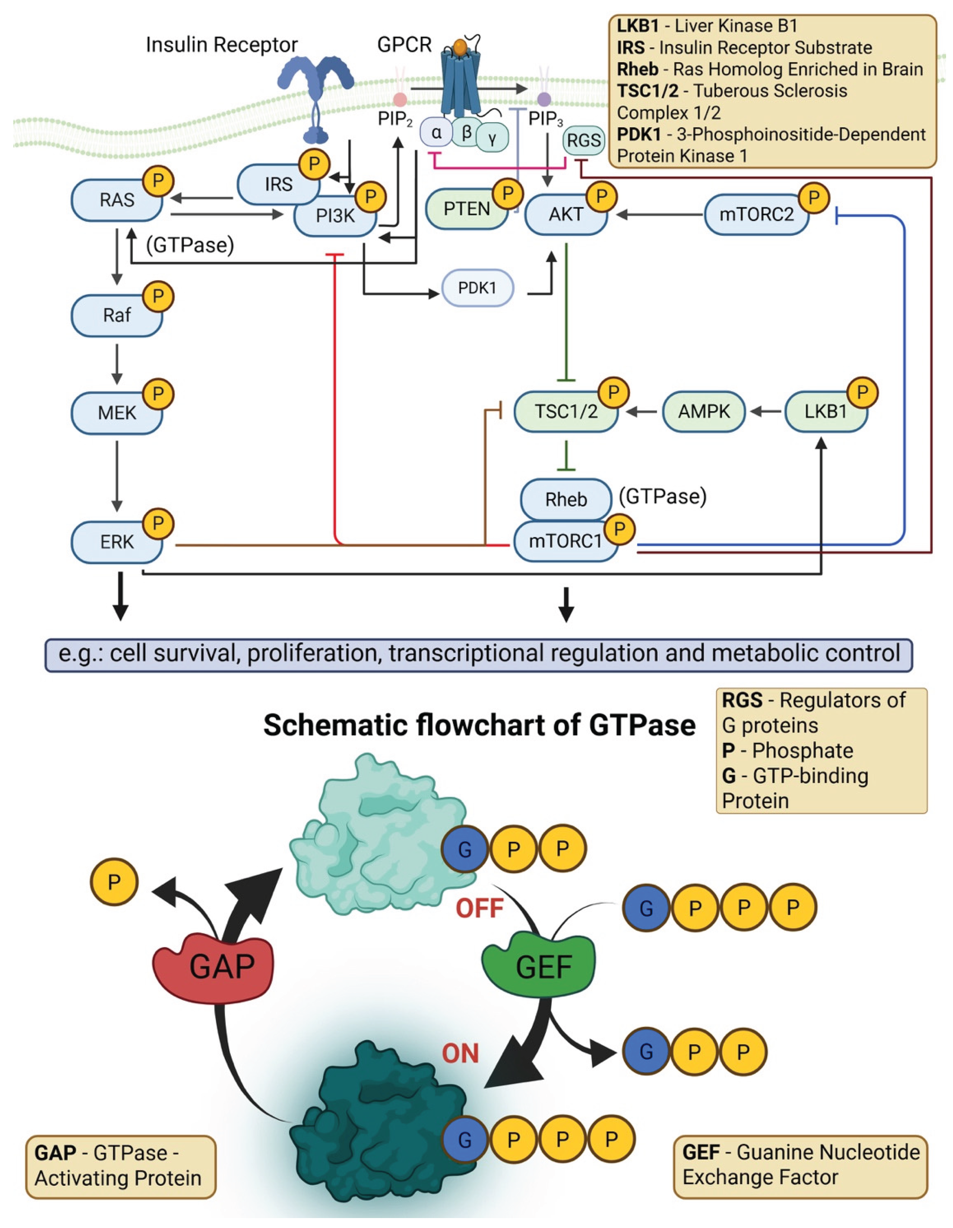 Preprints 184611 g003