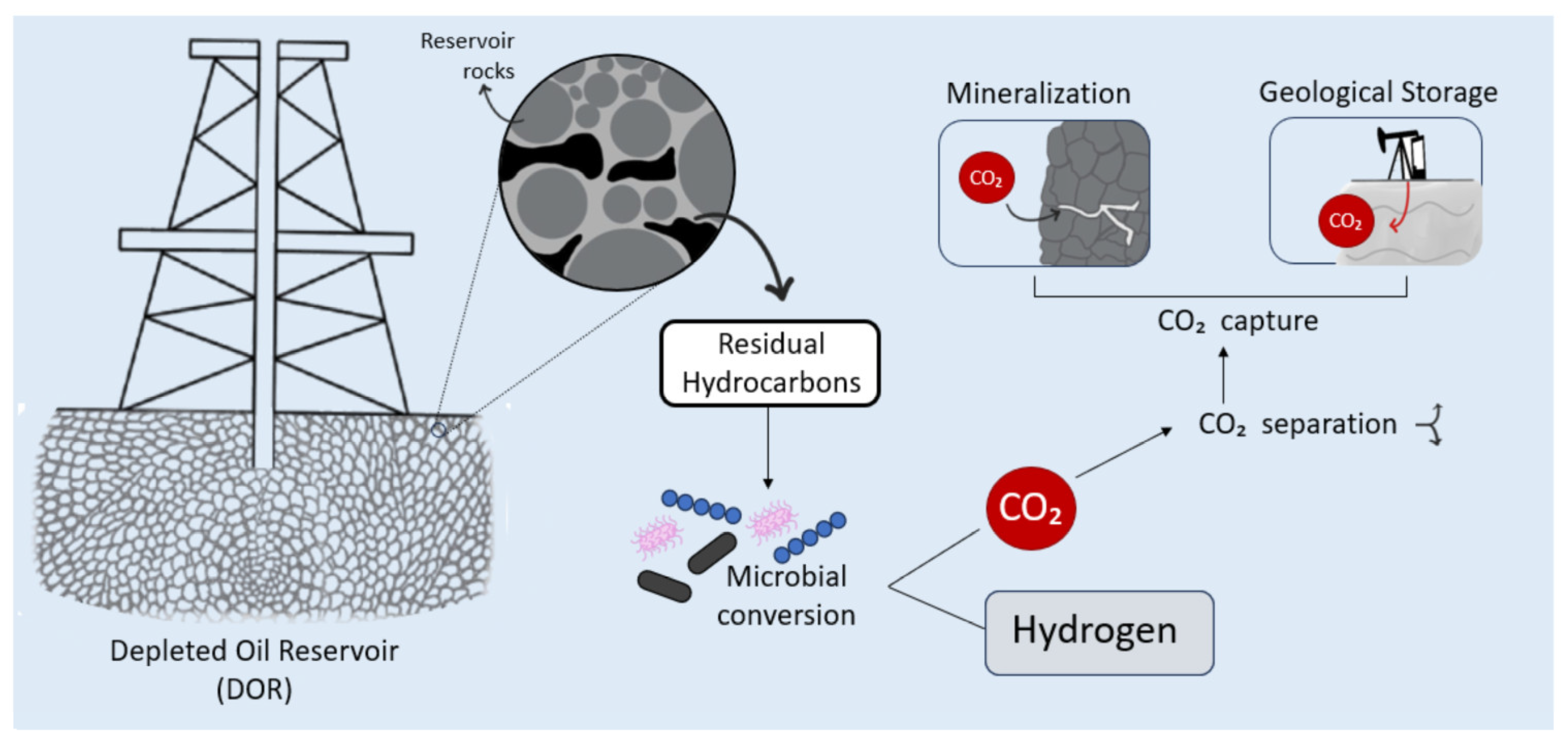 Preprints 168746 g001