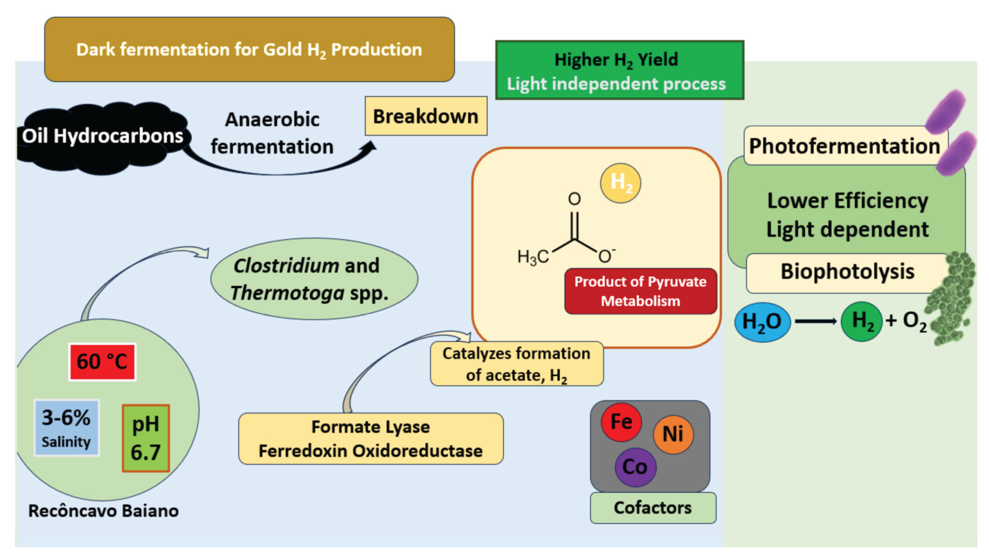 Preprints 168746 g002
