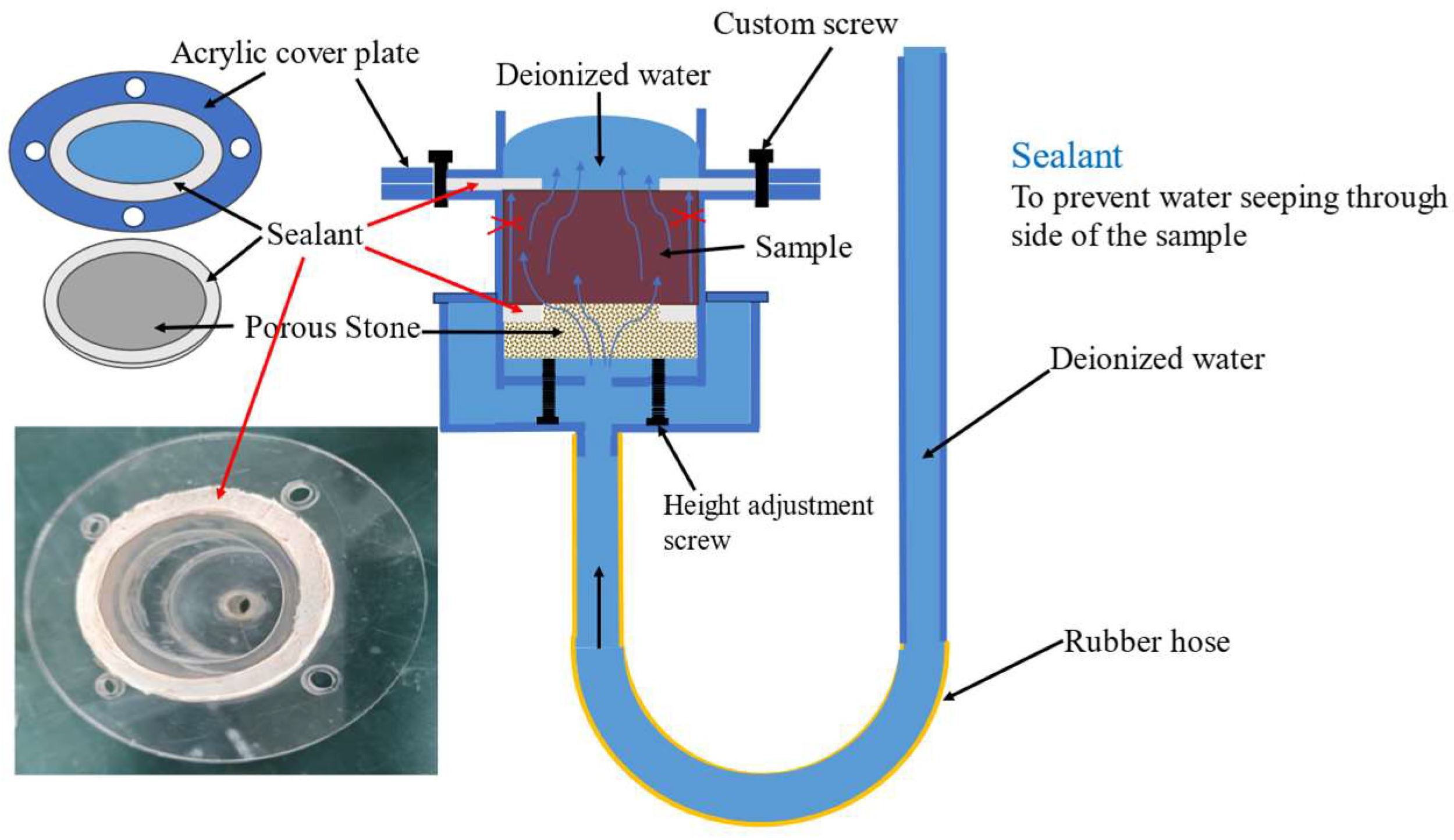 Preprints 147331 g004
