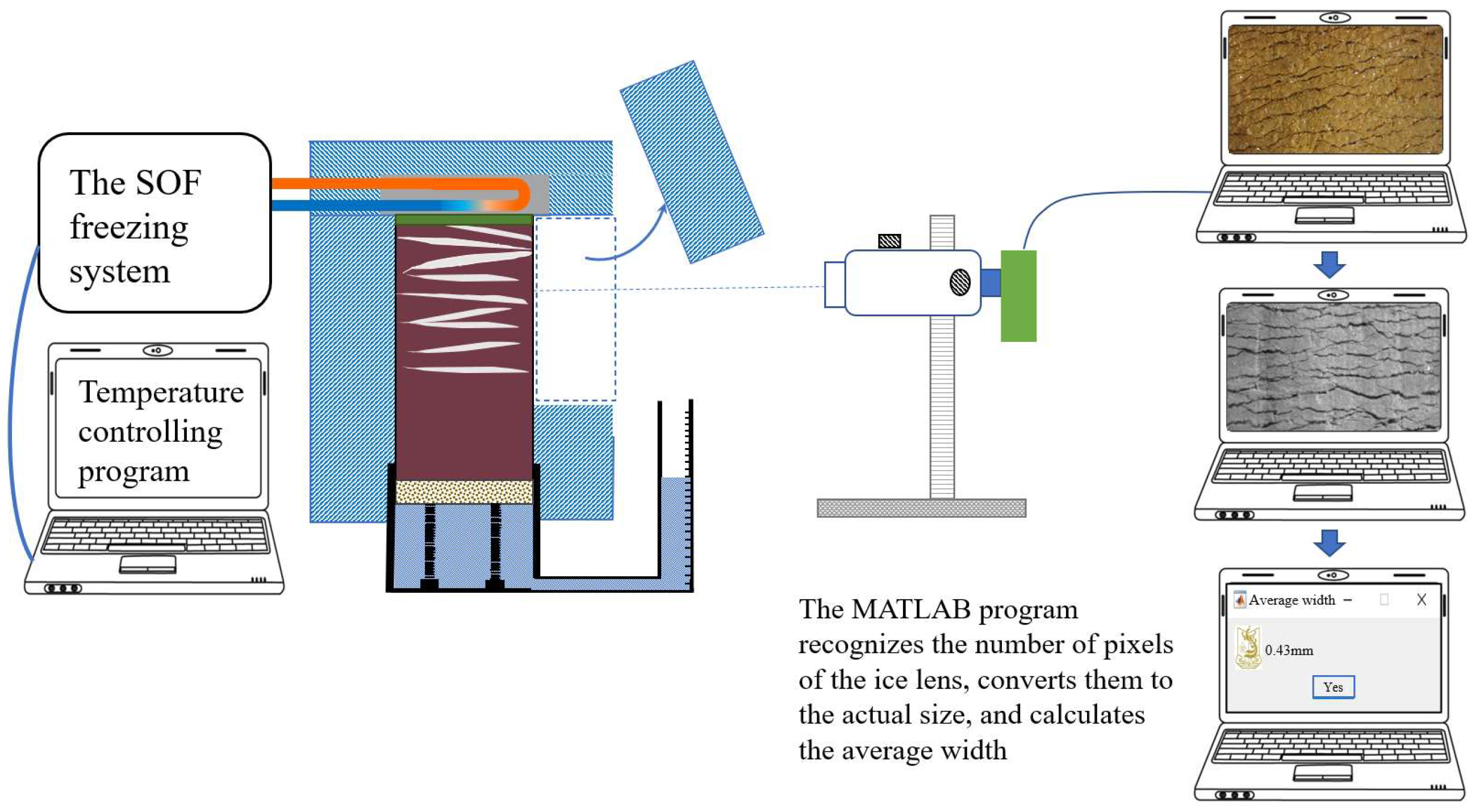 Preprints 147331 g005