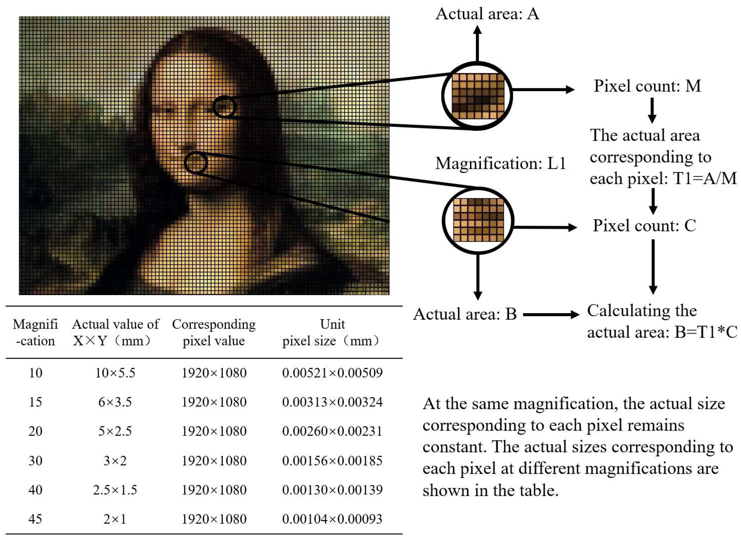 Preprints 147331 g006