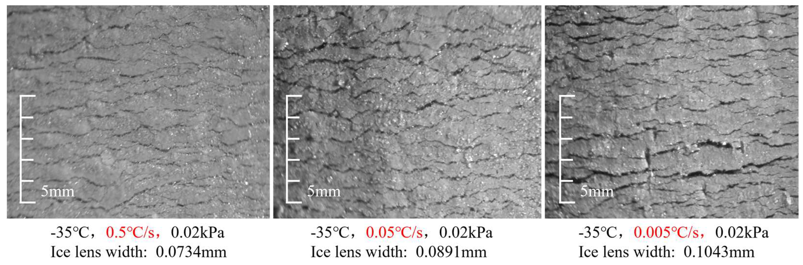 Preprints 147331 g012