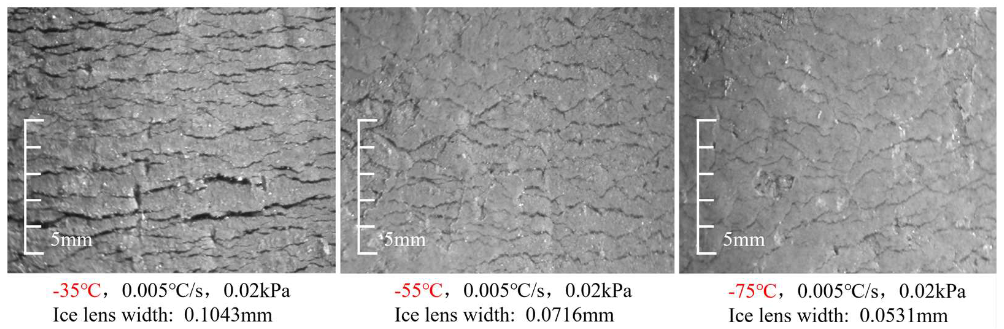 Preprints 147331 g013