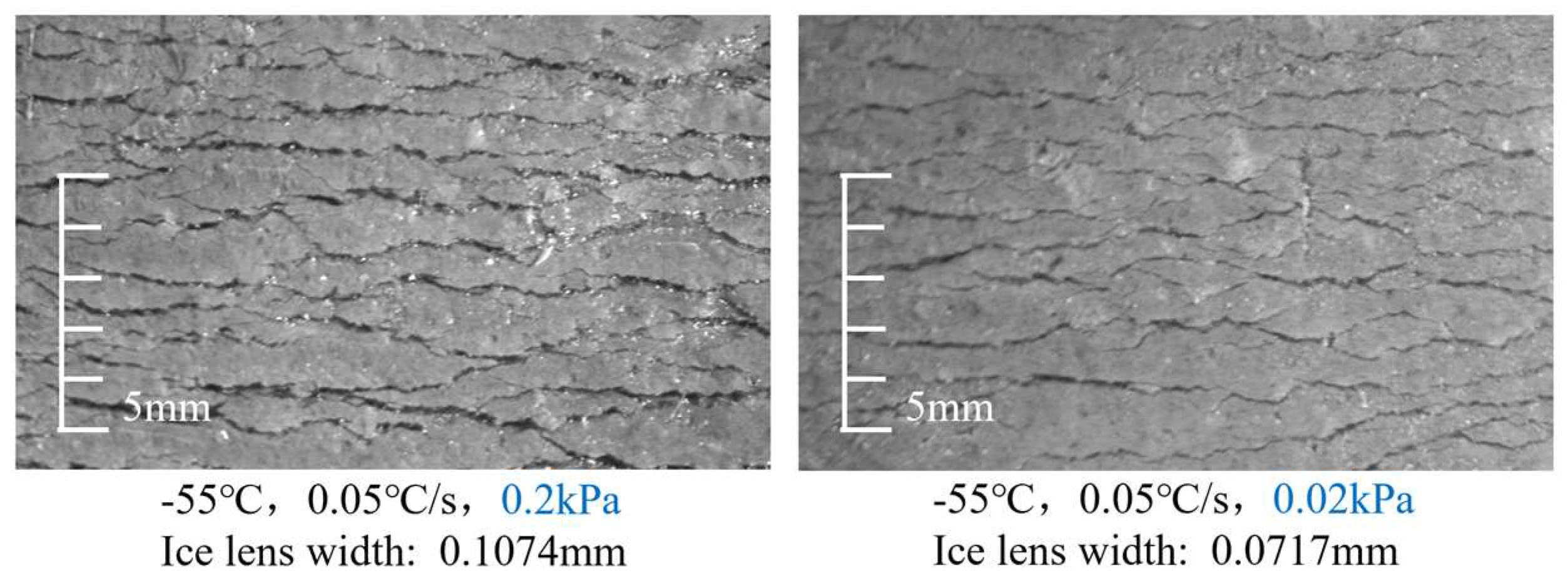 Preprints 147331 g014