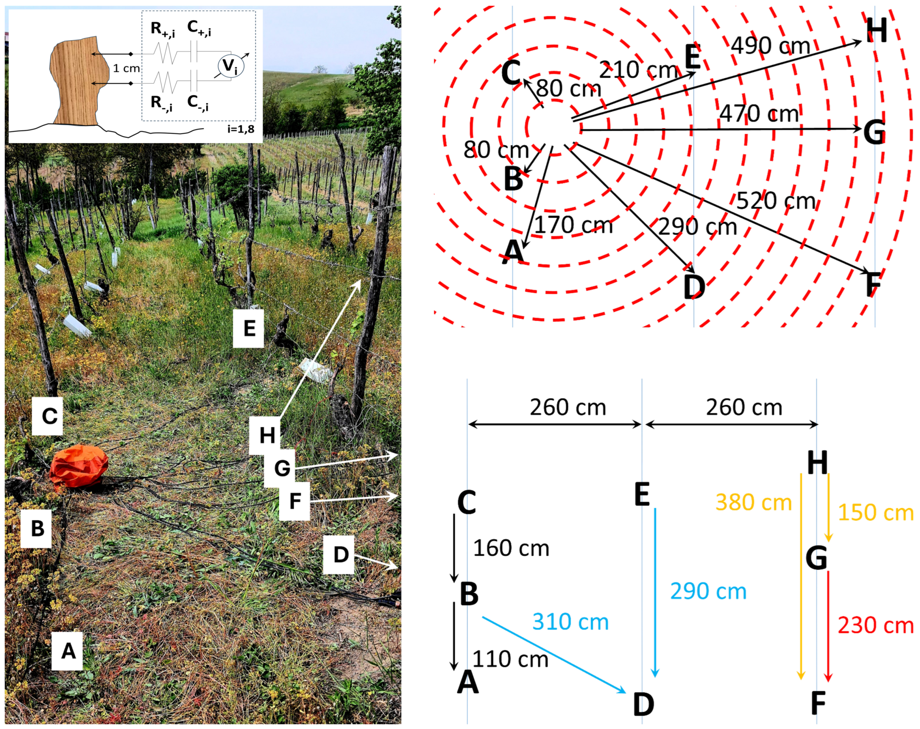 Preprints 169027 g001