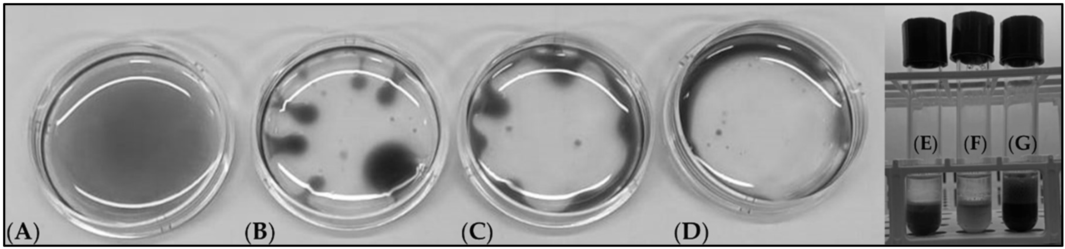 Preprints 143476 g001