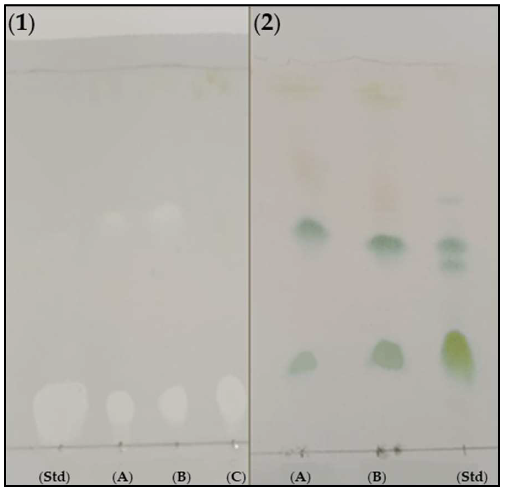Preprints 143476 g003