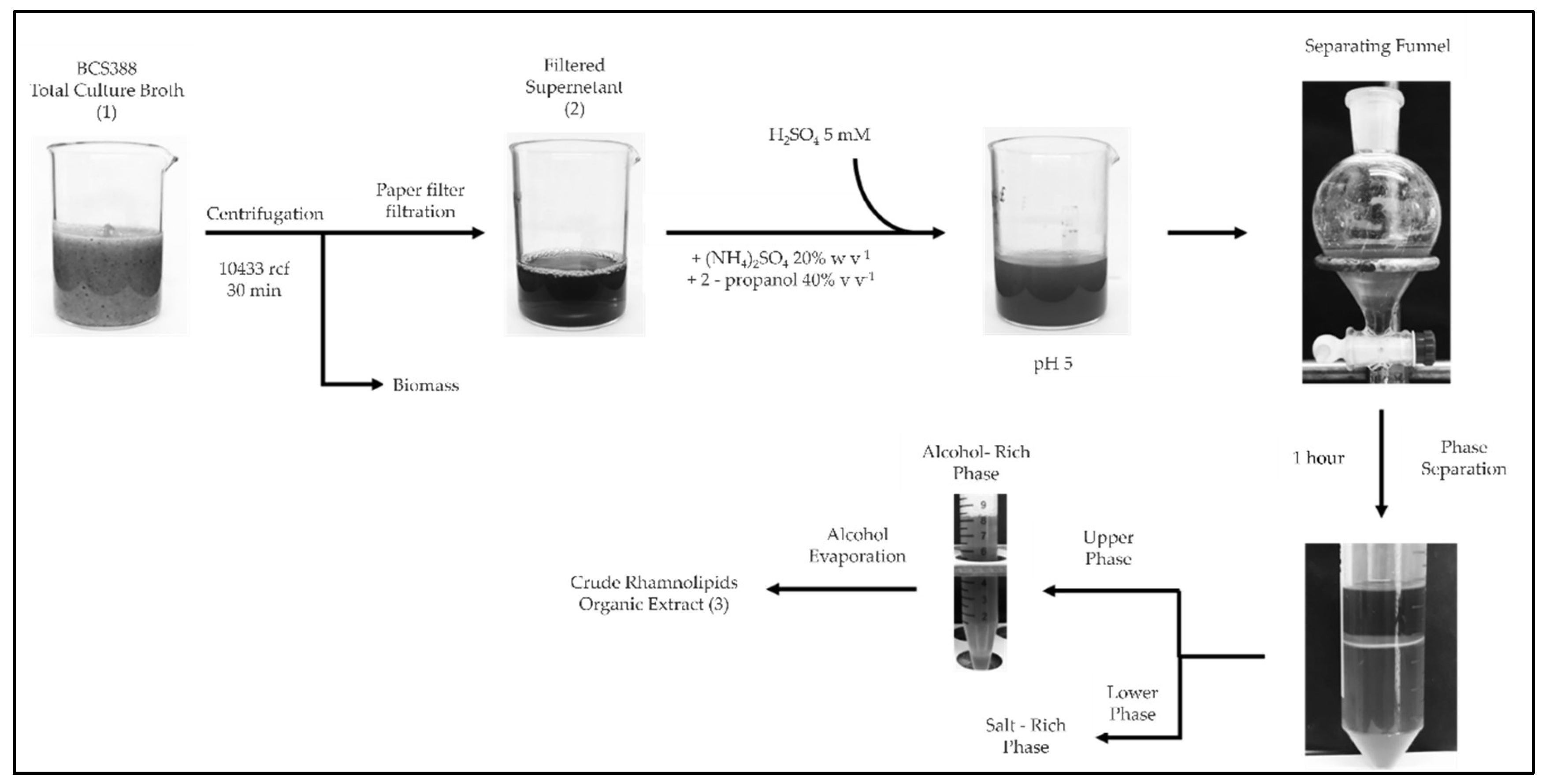 Preprints 143476 g007