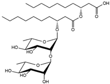 Preprints 143476 i002