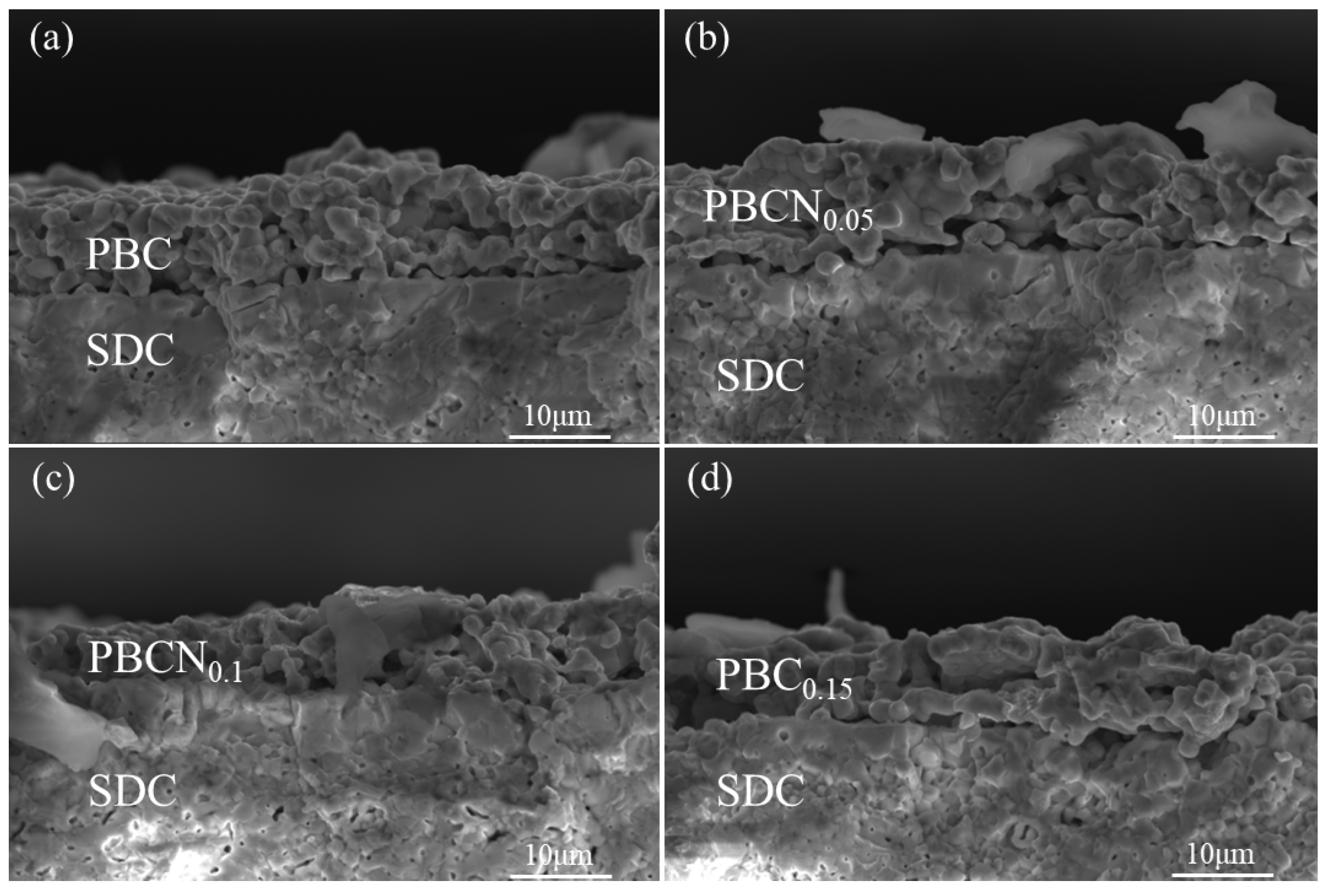 Preprints 149521 g002