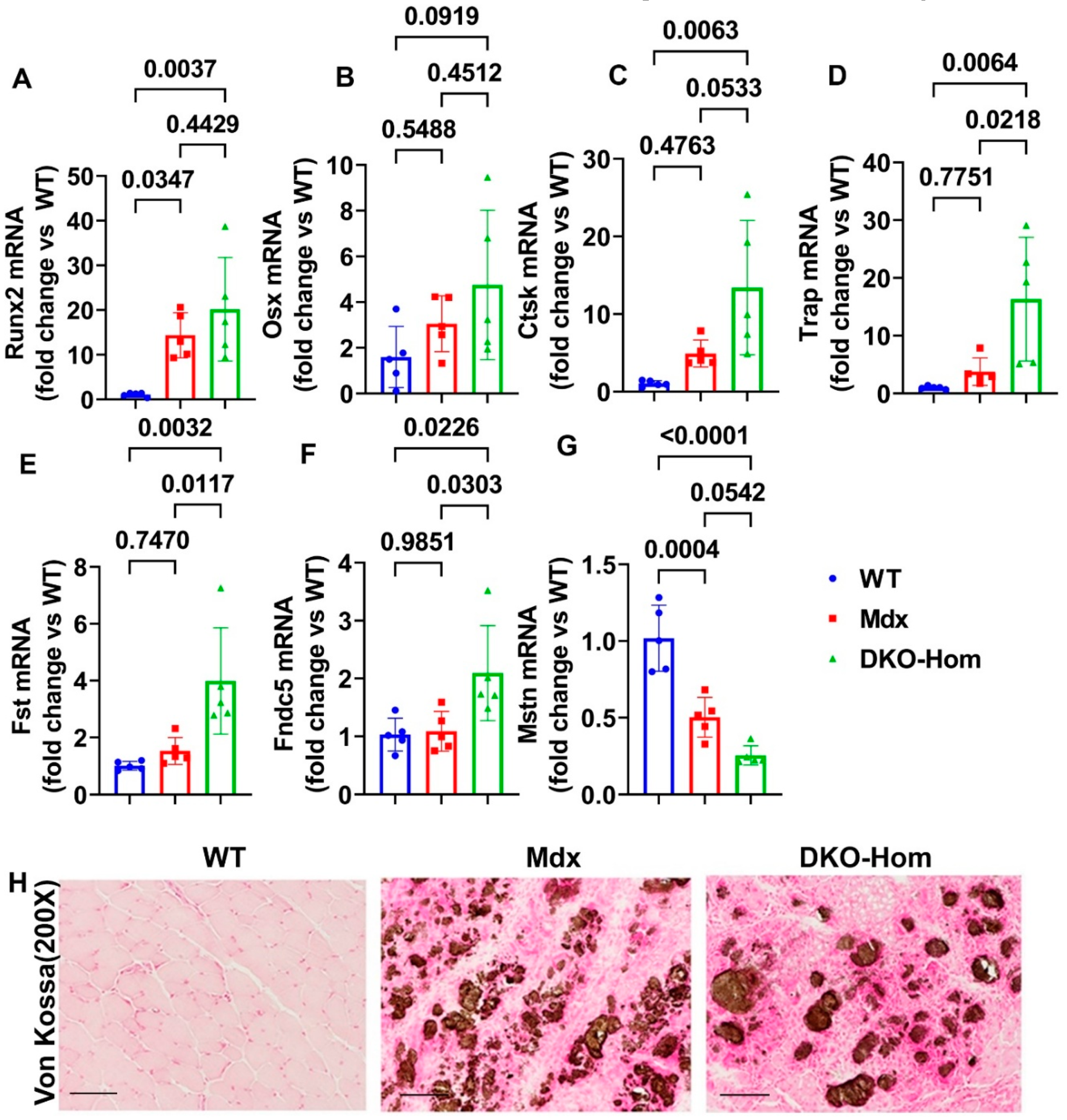 Preprints 138434 g002