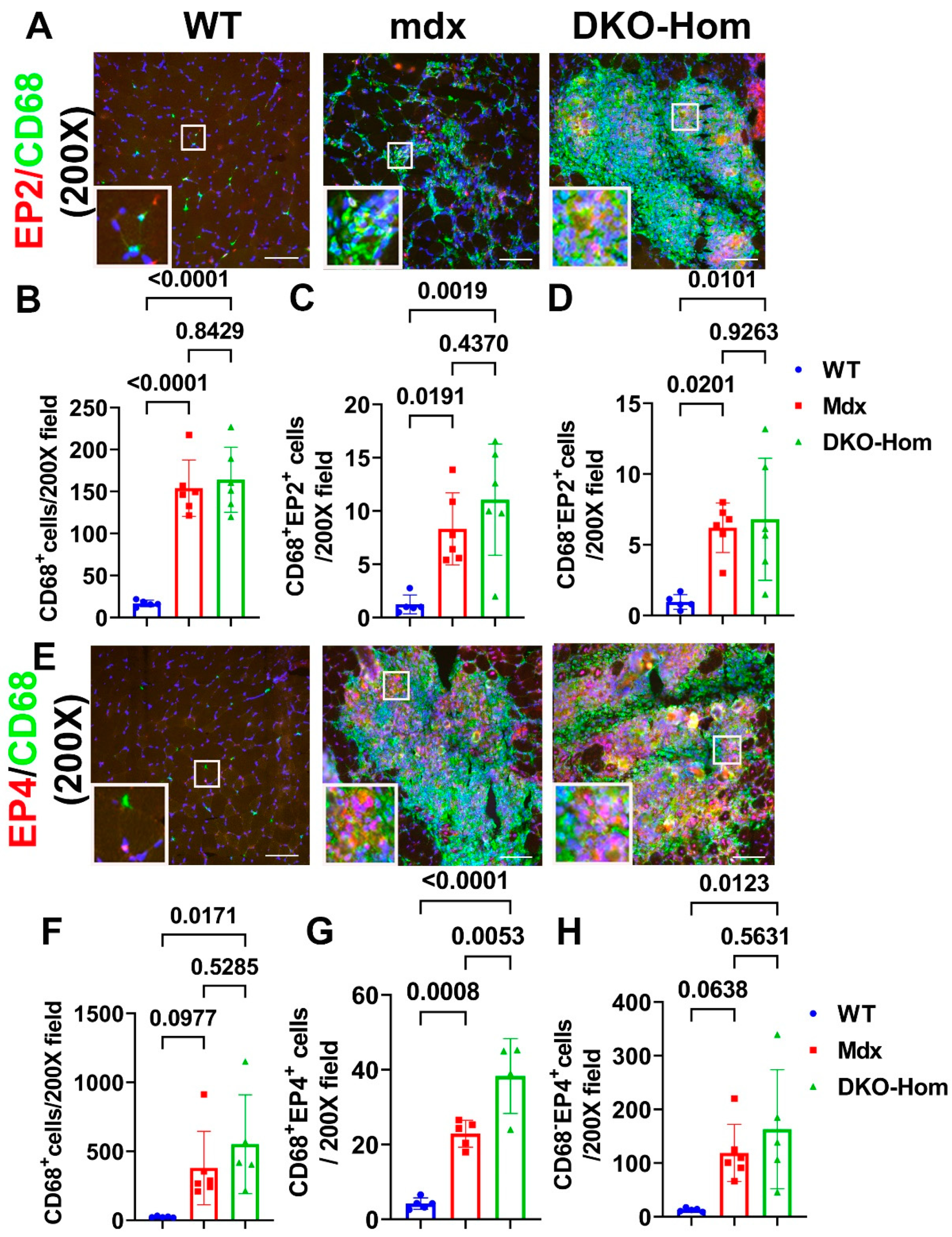 Preprints 138434 g003