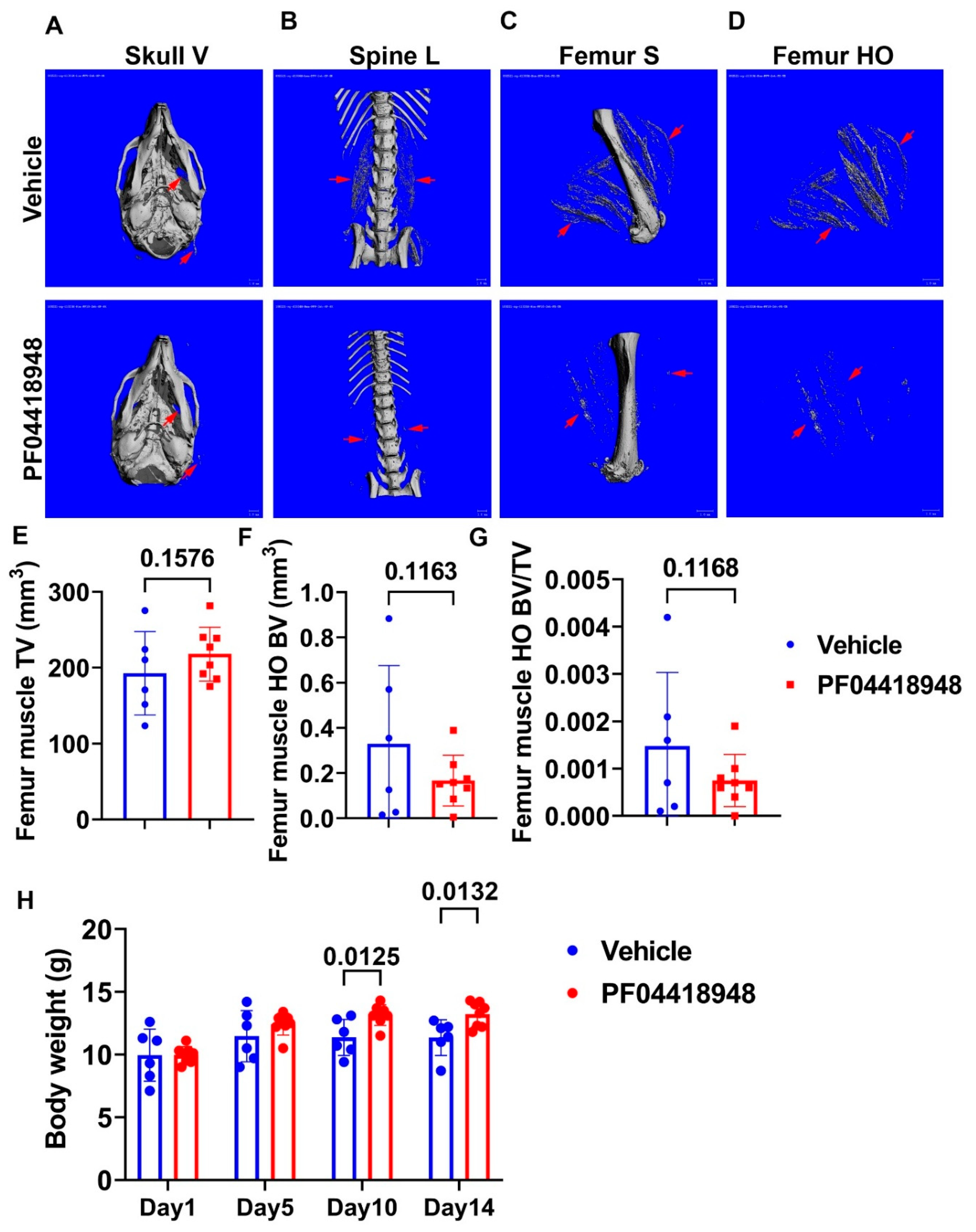 Preprints 138434 g004