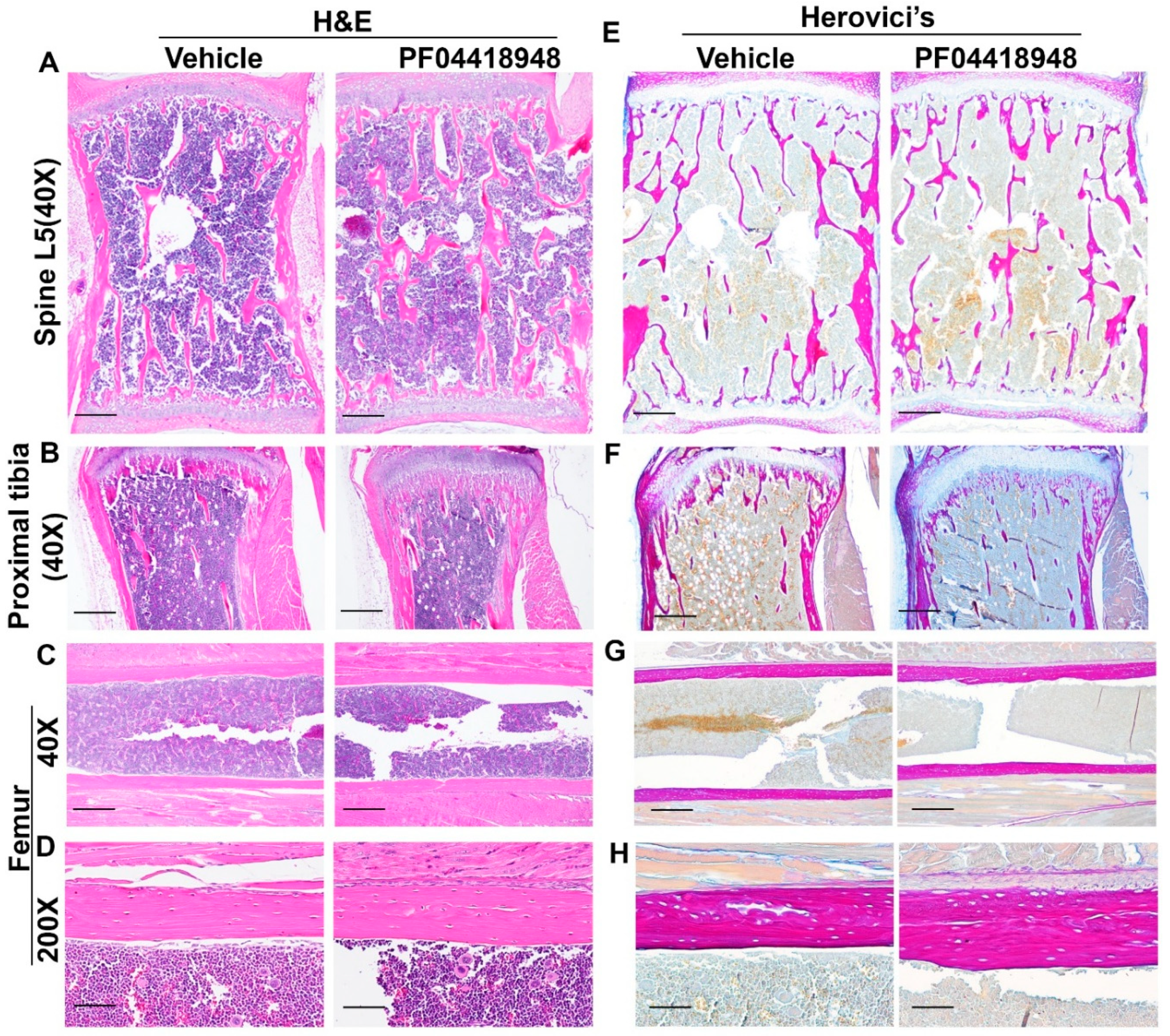 Preprints 138434 g008
