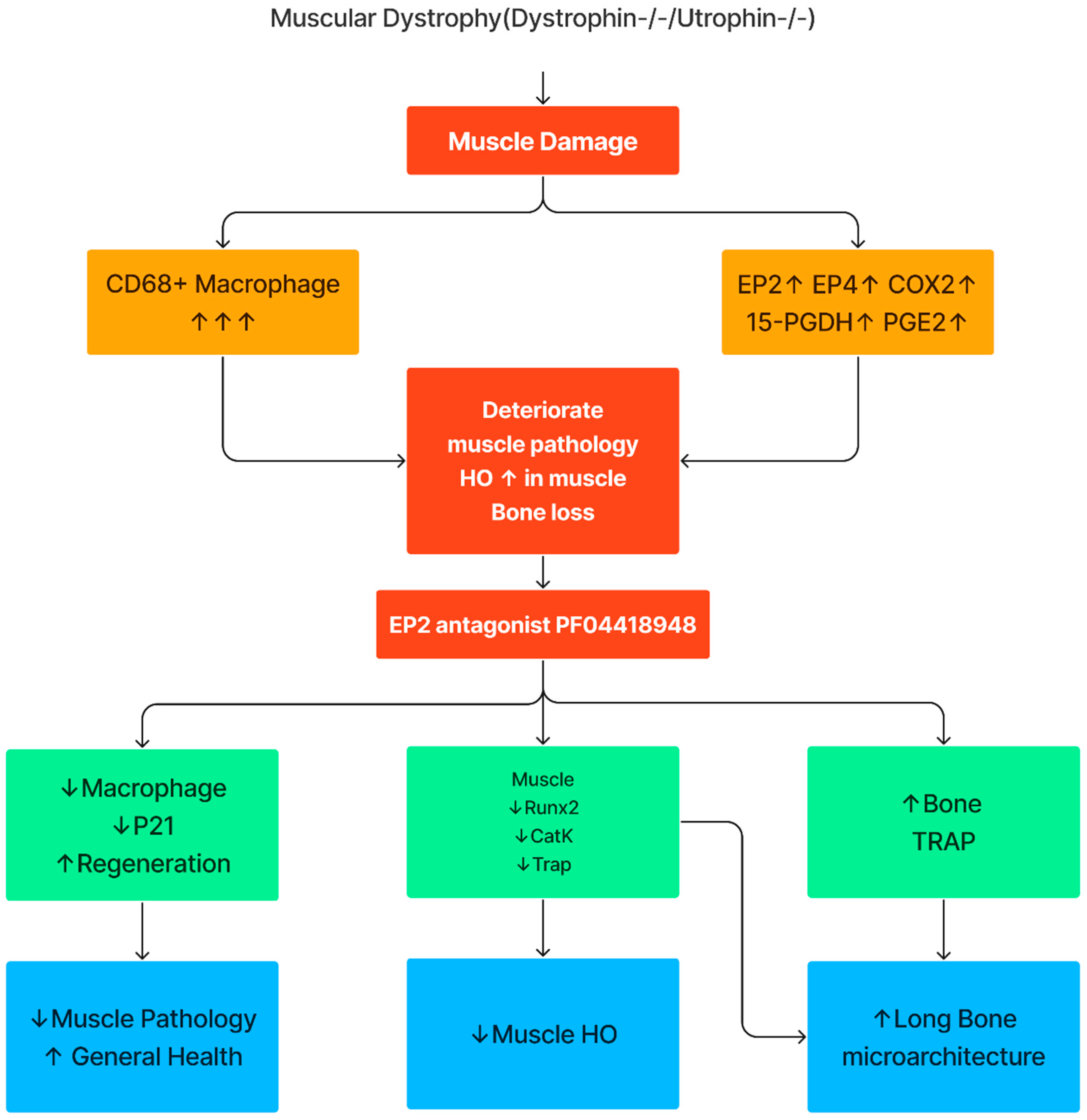 Preprints 138434 g010