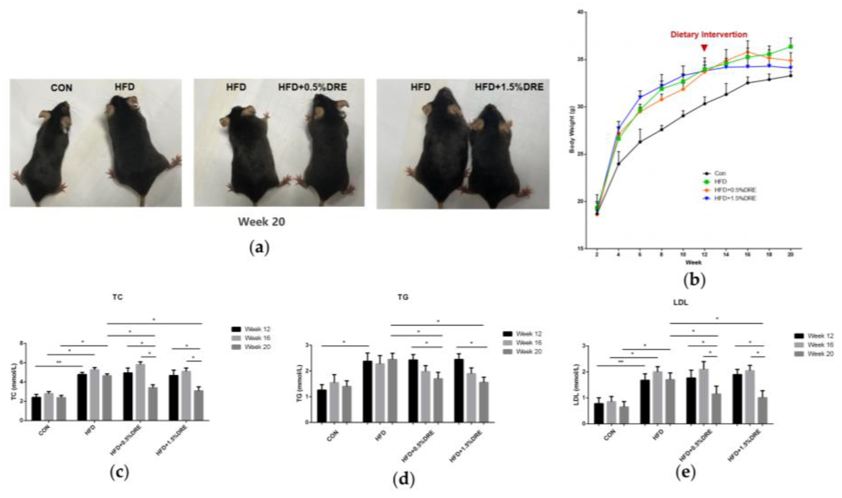 Preprints 215199 g001