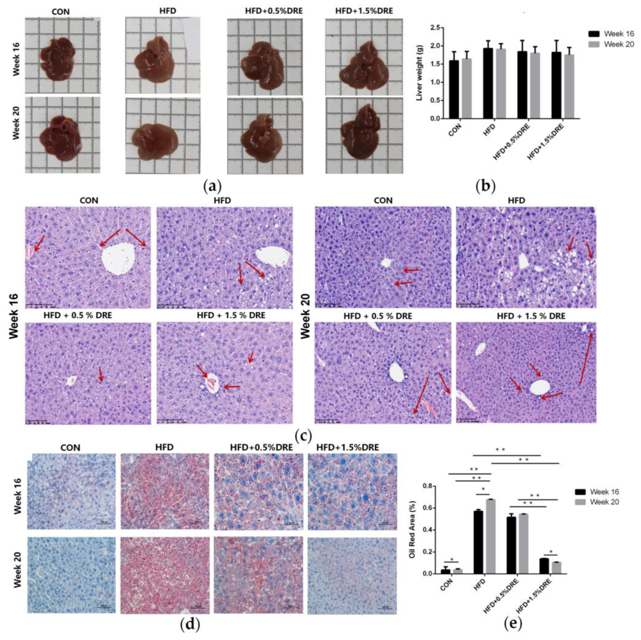 Preprints 215199 g002