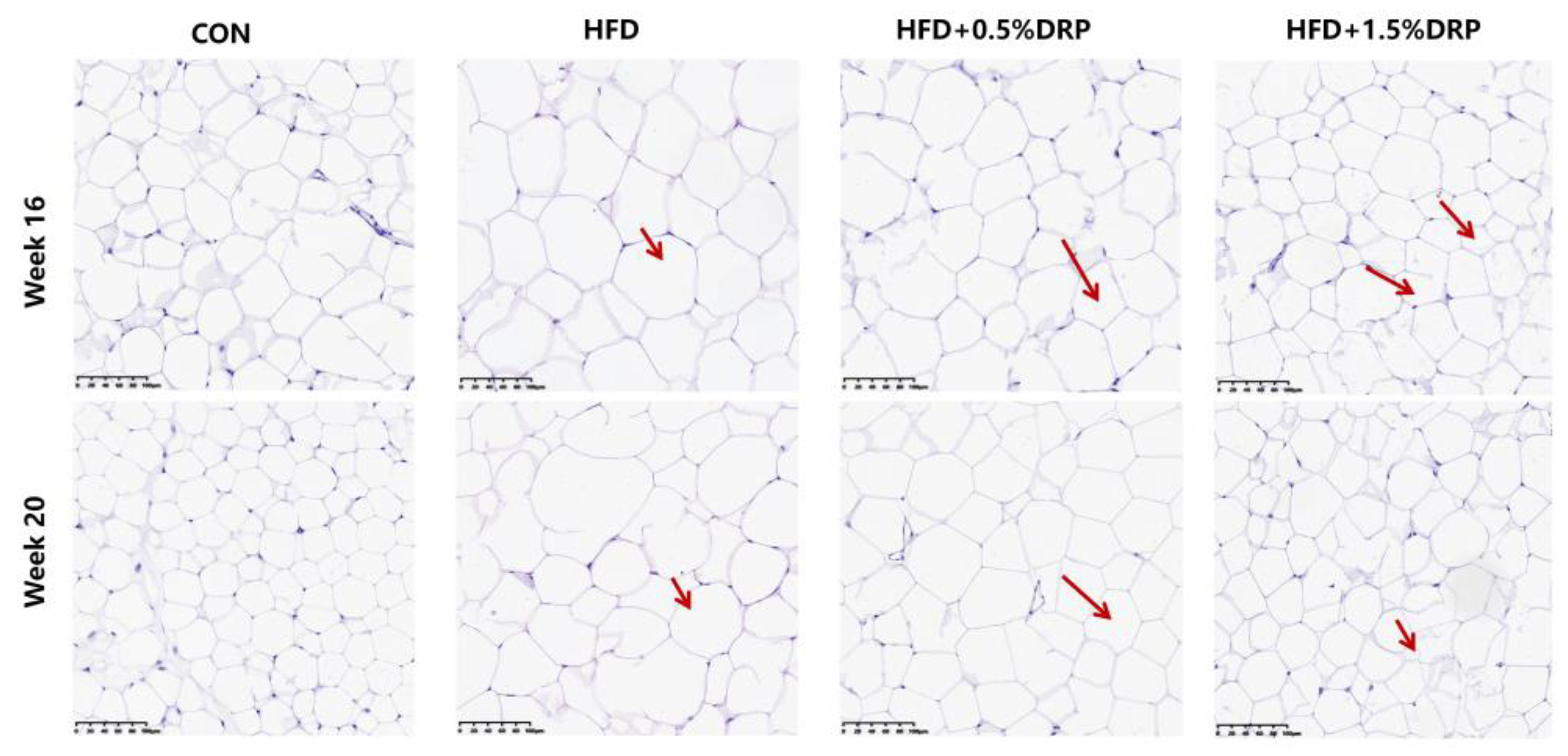 Preprints 215199 g003