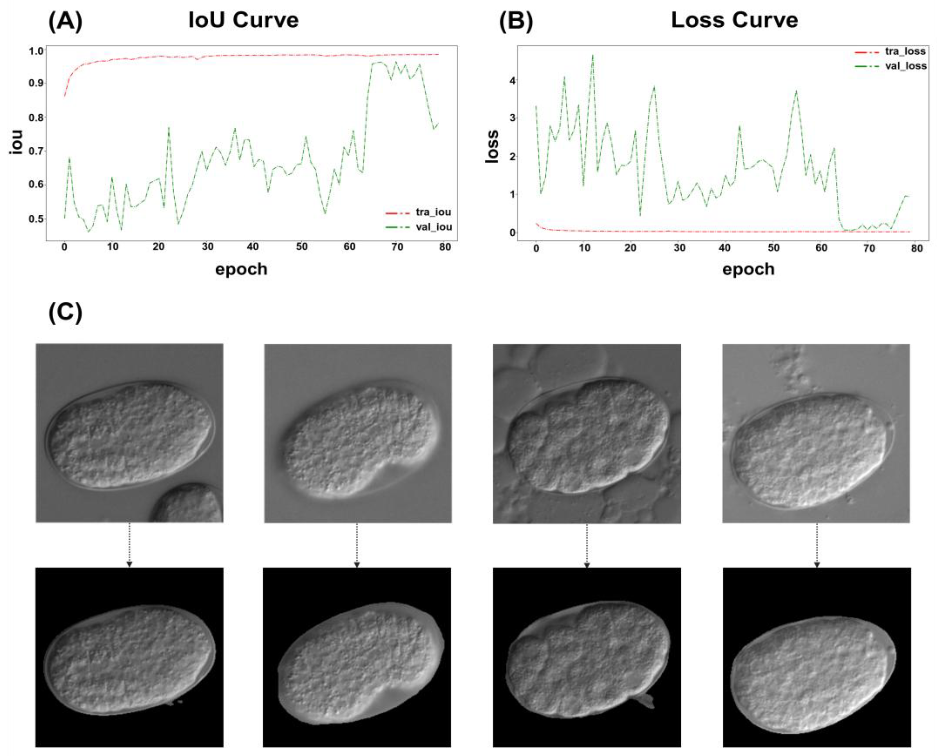 Preprints 166892 g002