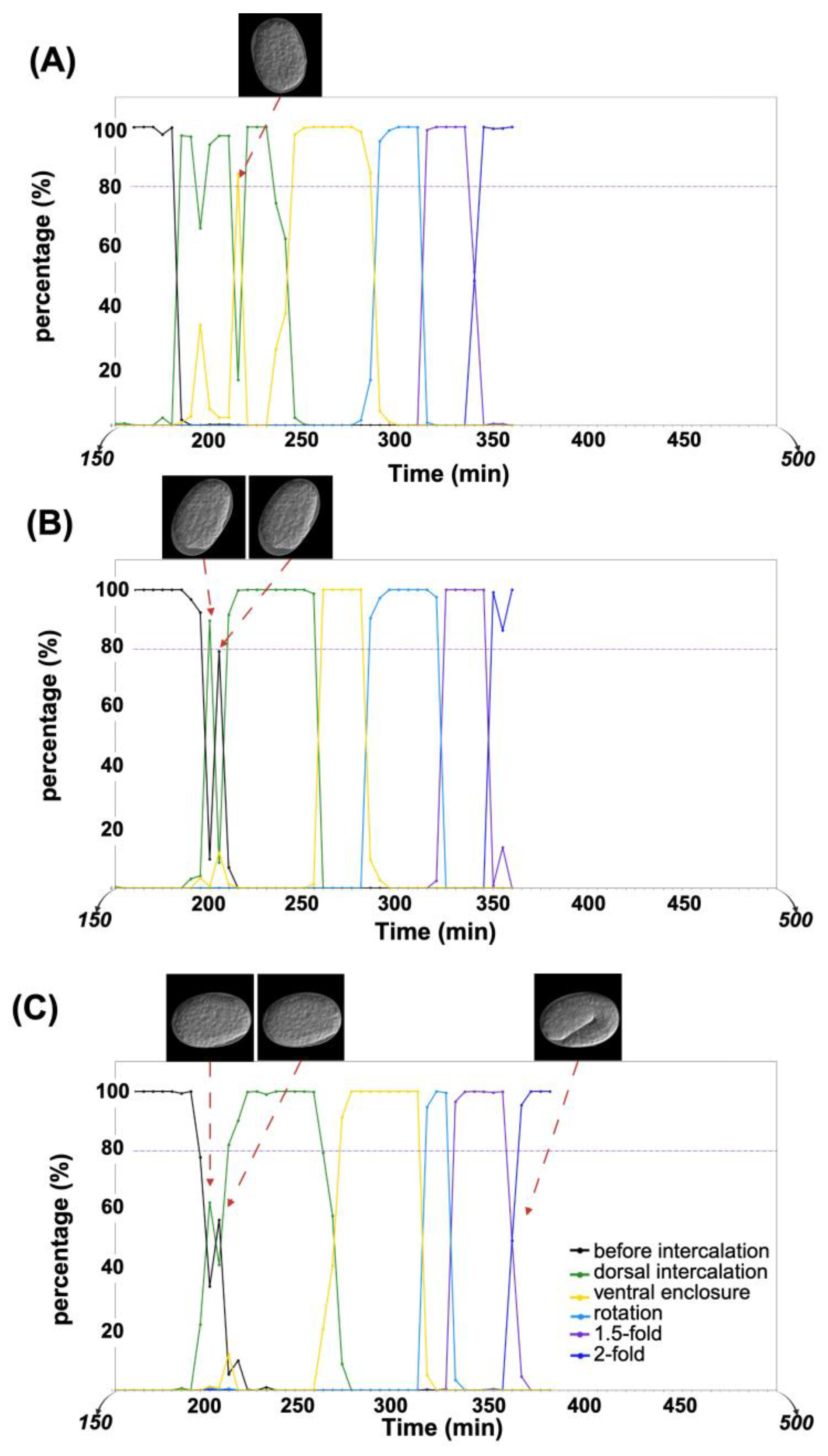 Preprints 166892 g004