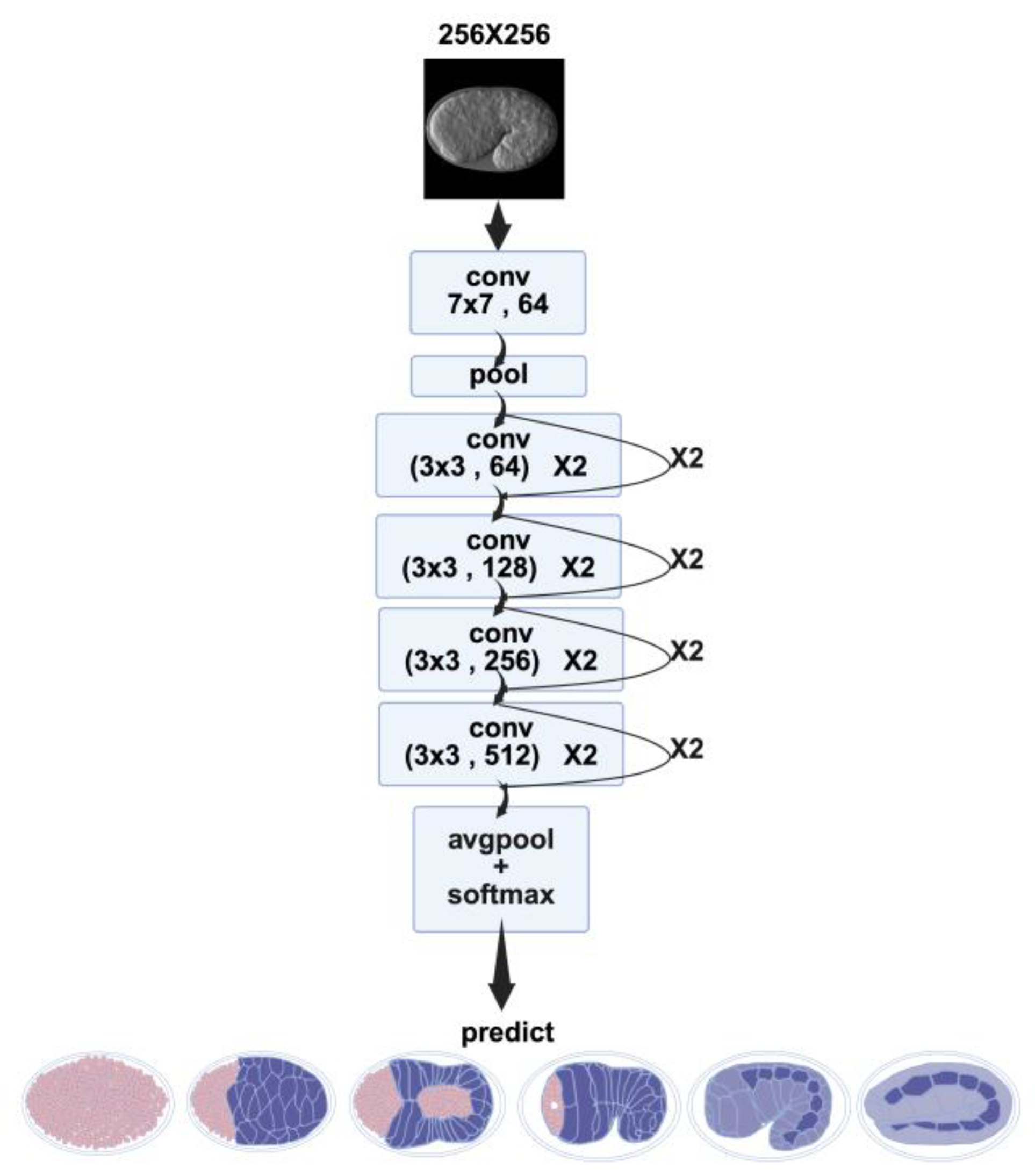Preprints 166892 g008