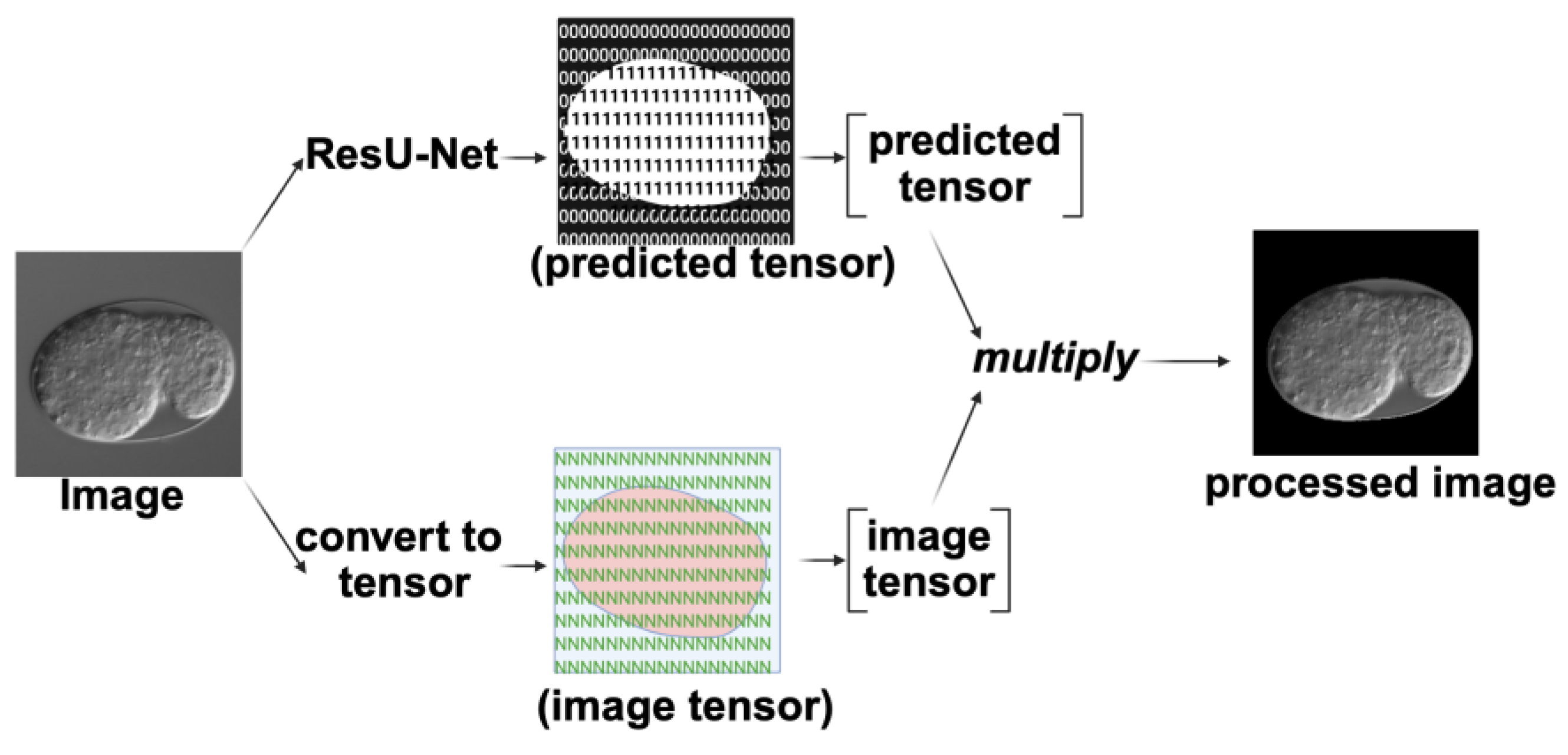 Preprints 166892 g009