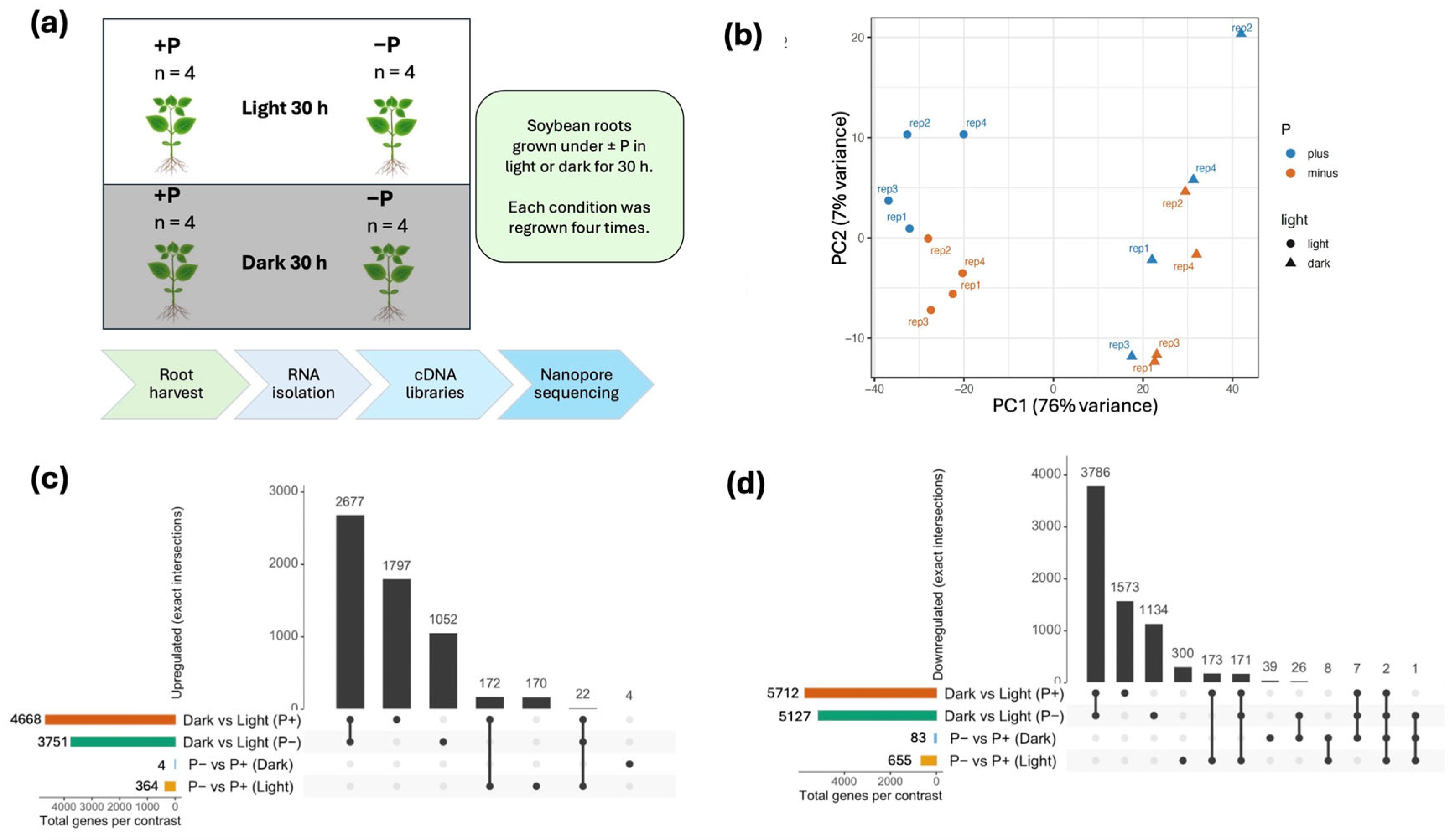 Preprints 191174 g001