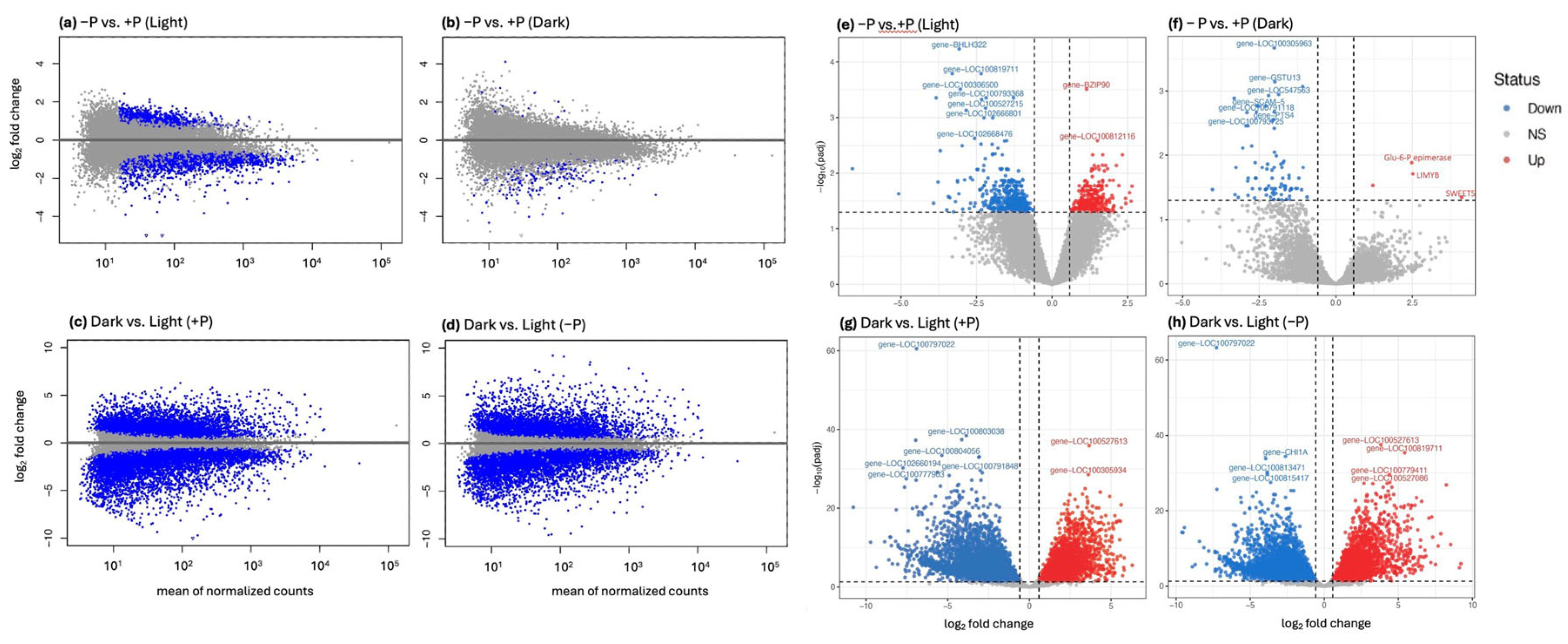 Preprints 191174 g002