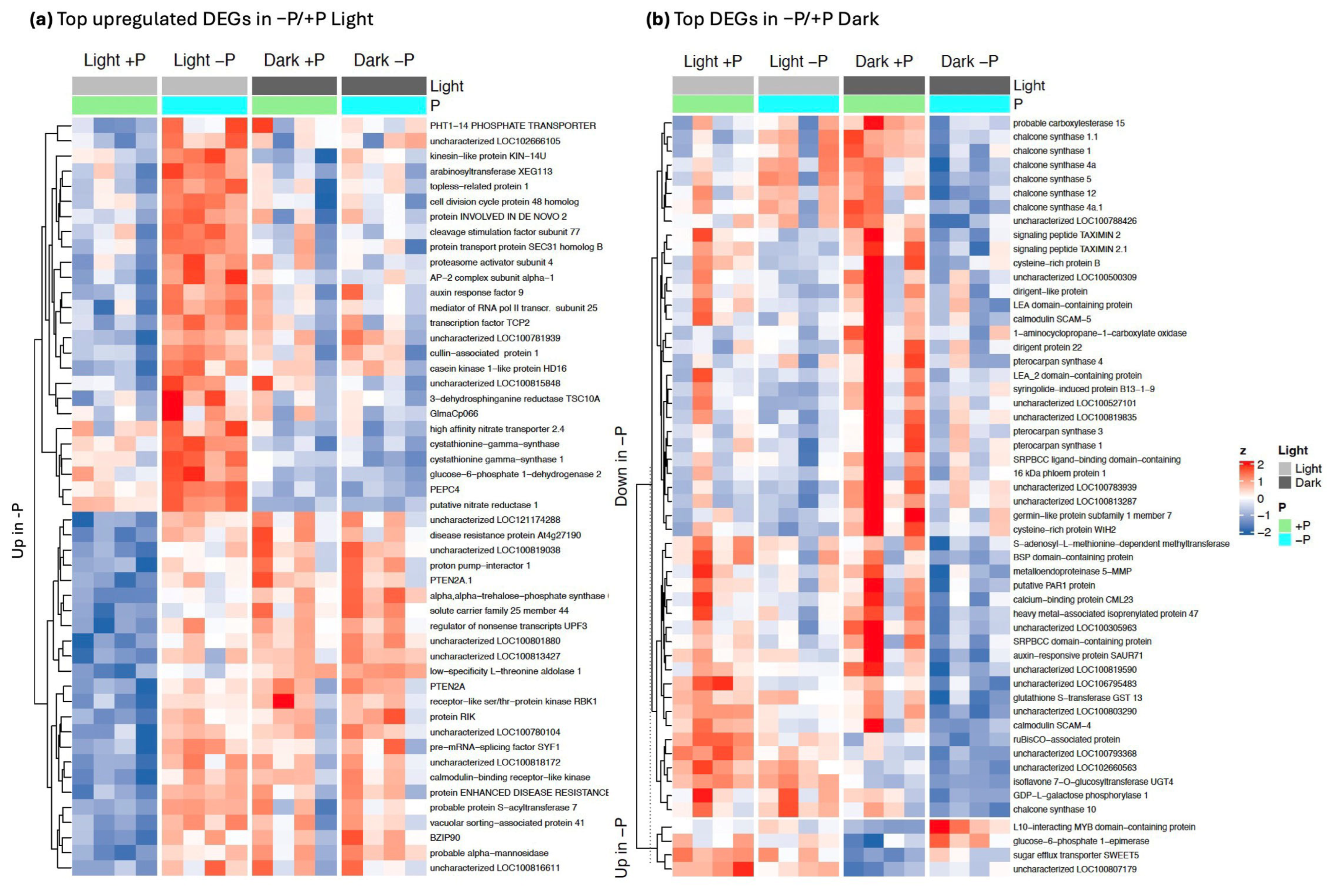 Preprints 191174 g004