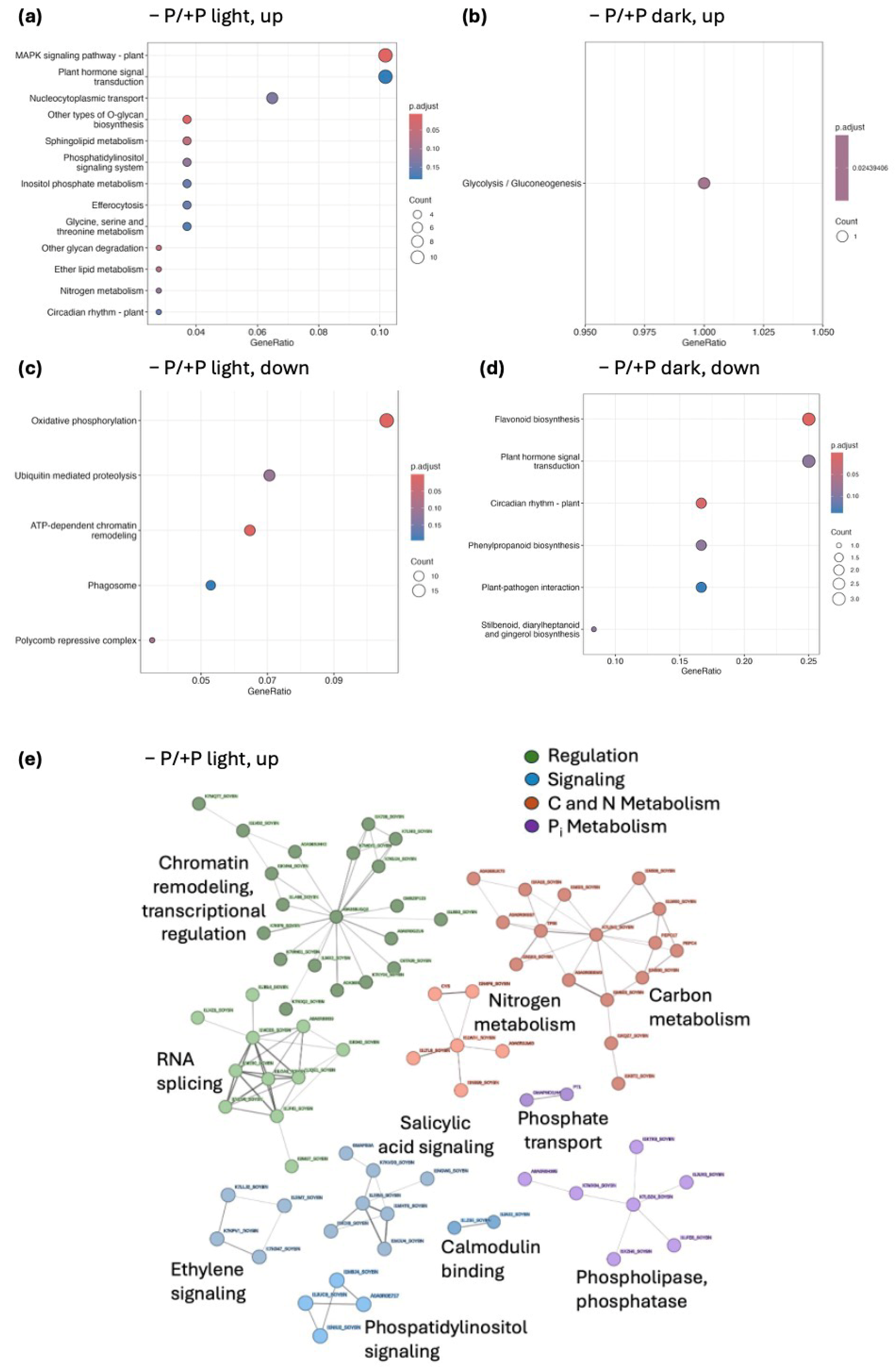 Preprints 191174 g005