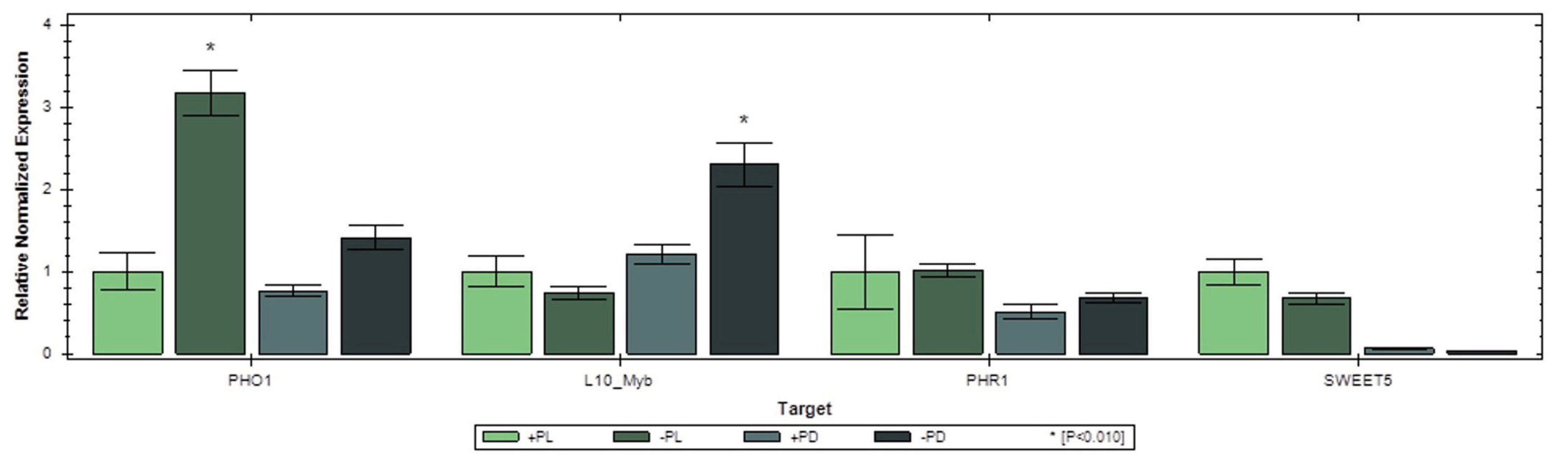 Preprints 191174 g006