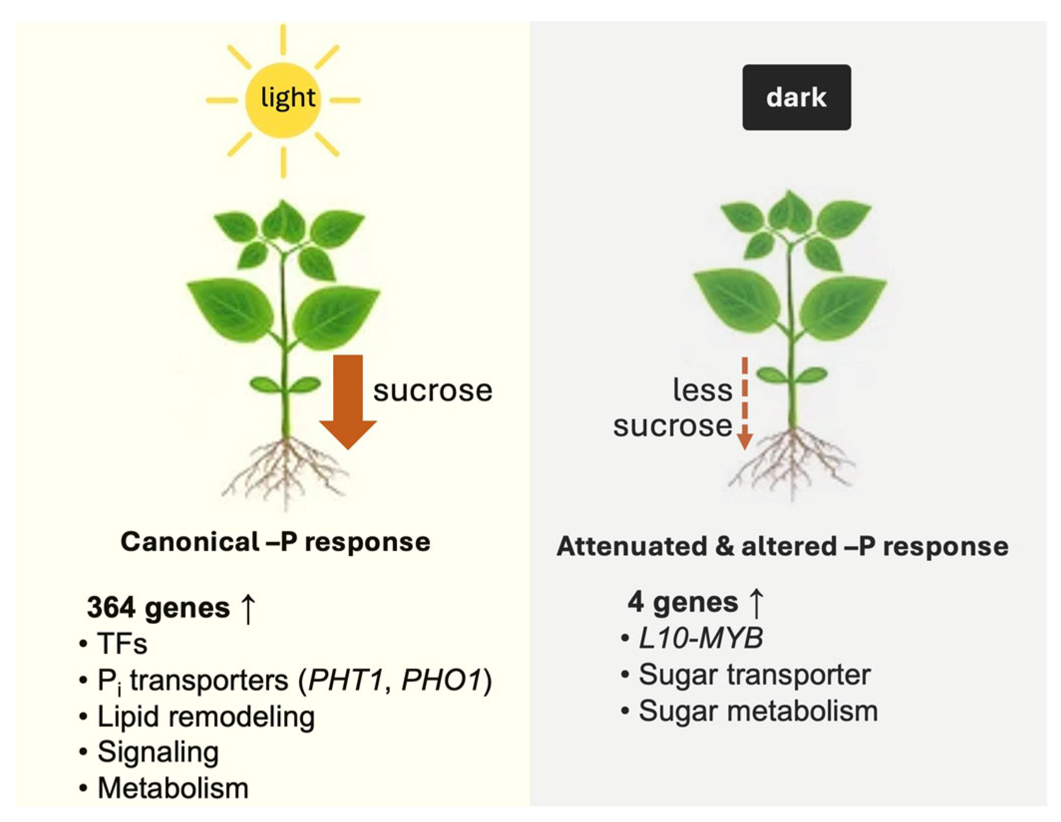 Preprints 191174 g007